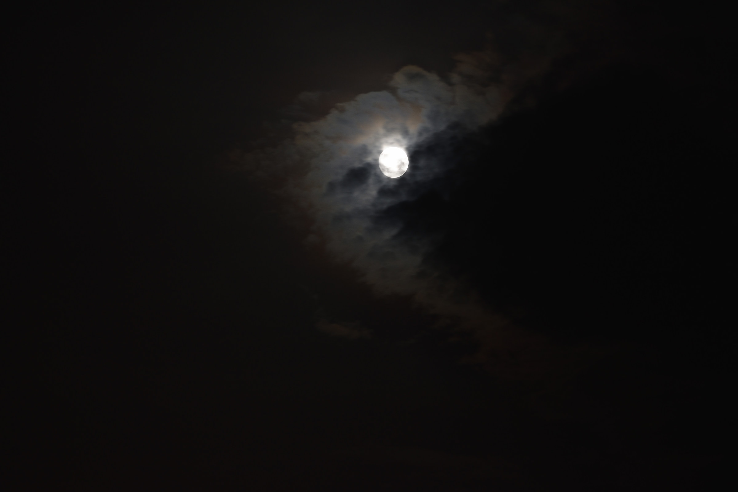 Emmh !! .. this was not in the garden .. (better? ..)