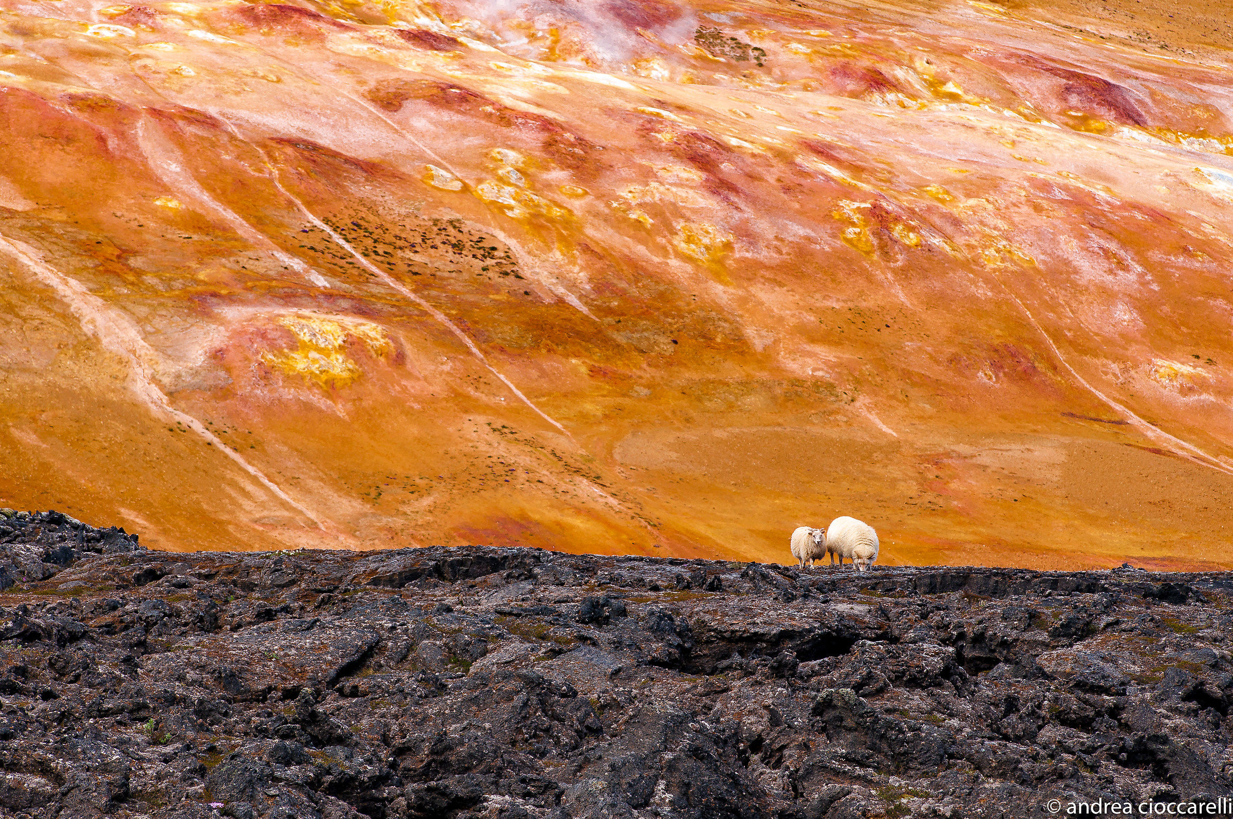 survived the Center of the Earth