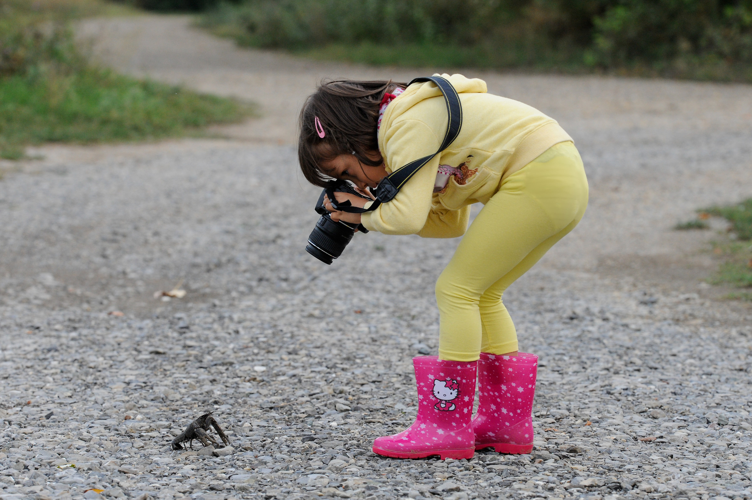 Macro dilettanti allo sbaraglio