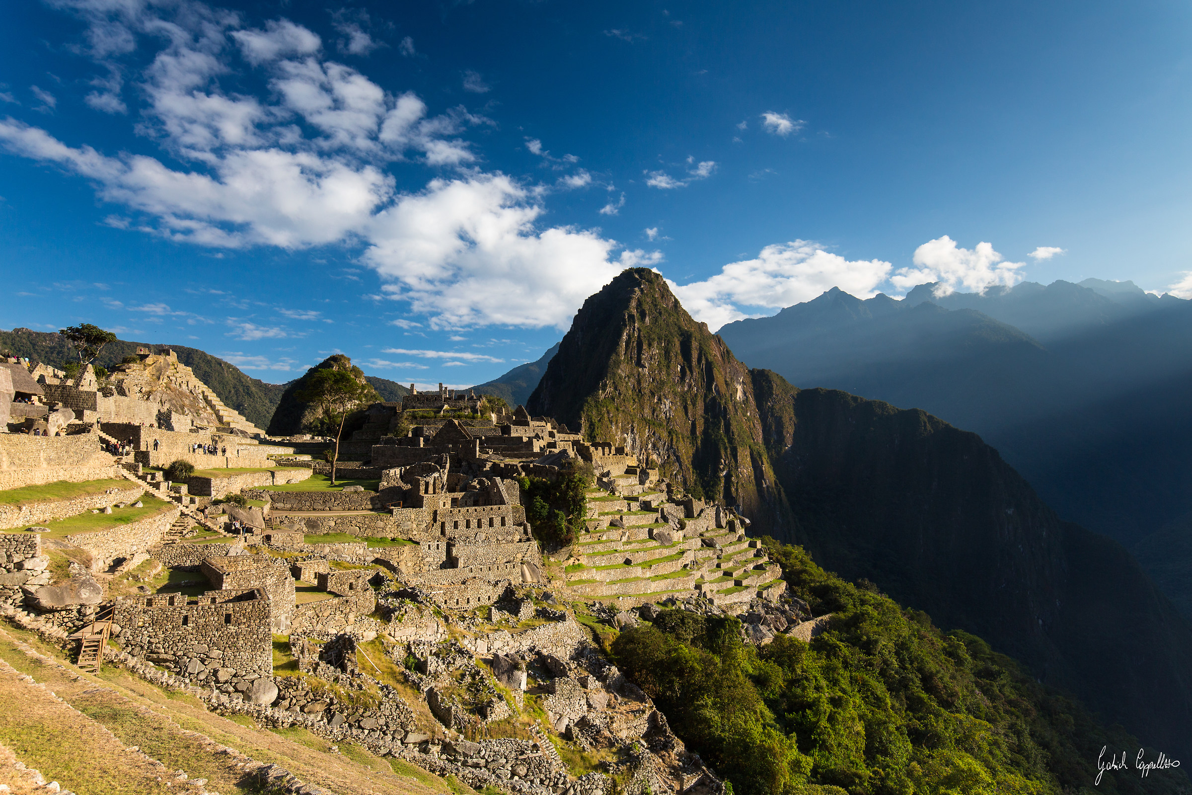 The terrace on the forest