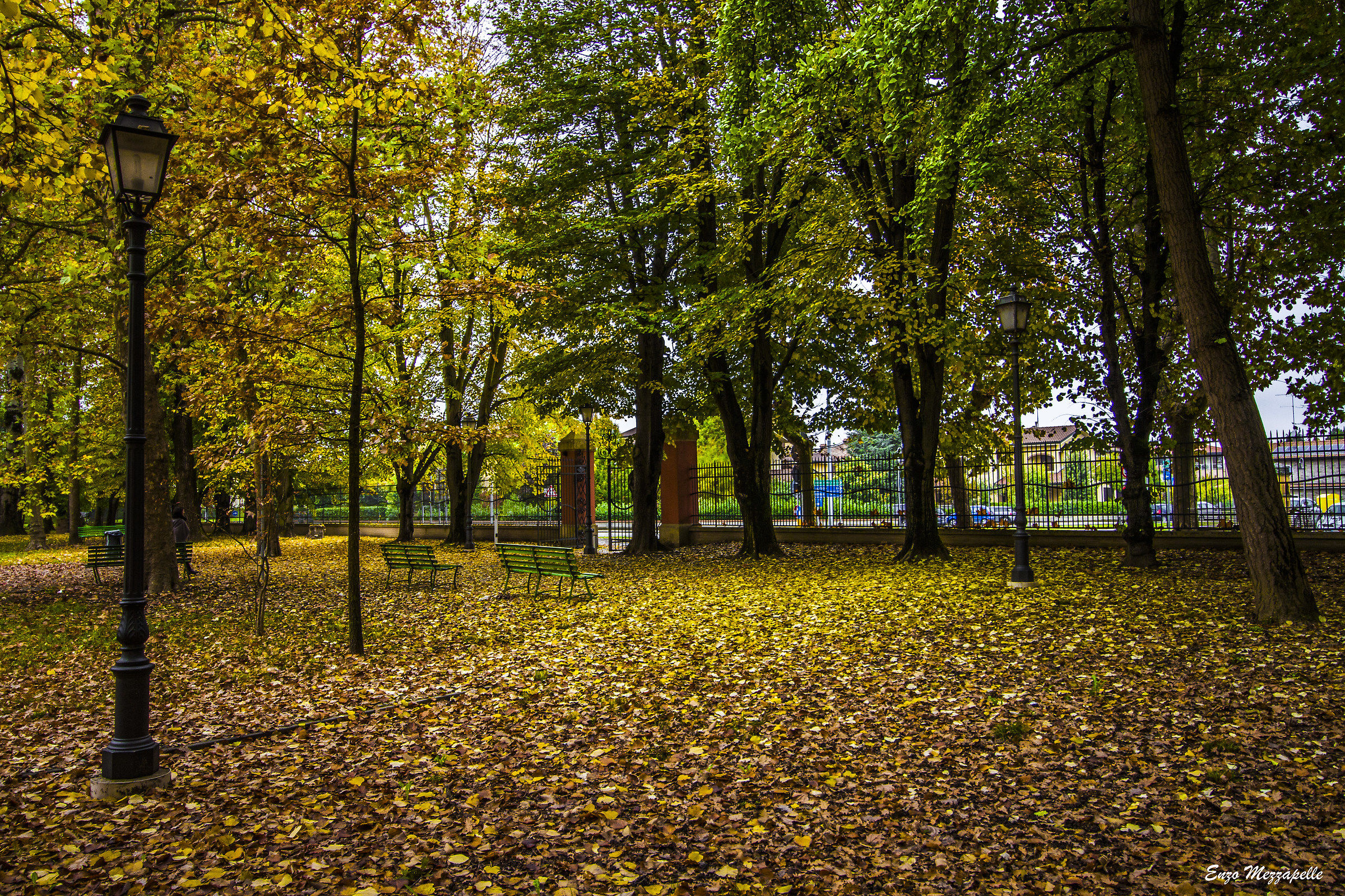 Autumn autumn autumn ... but!