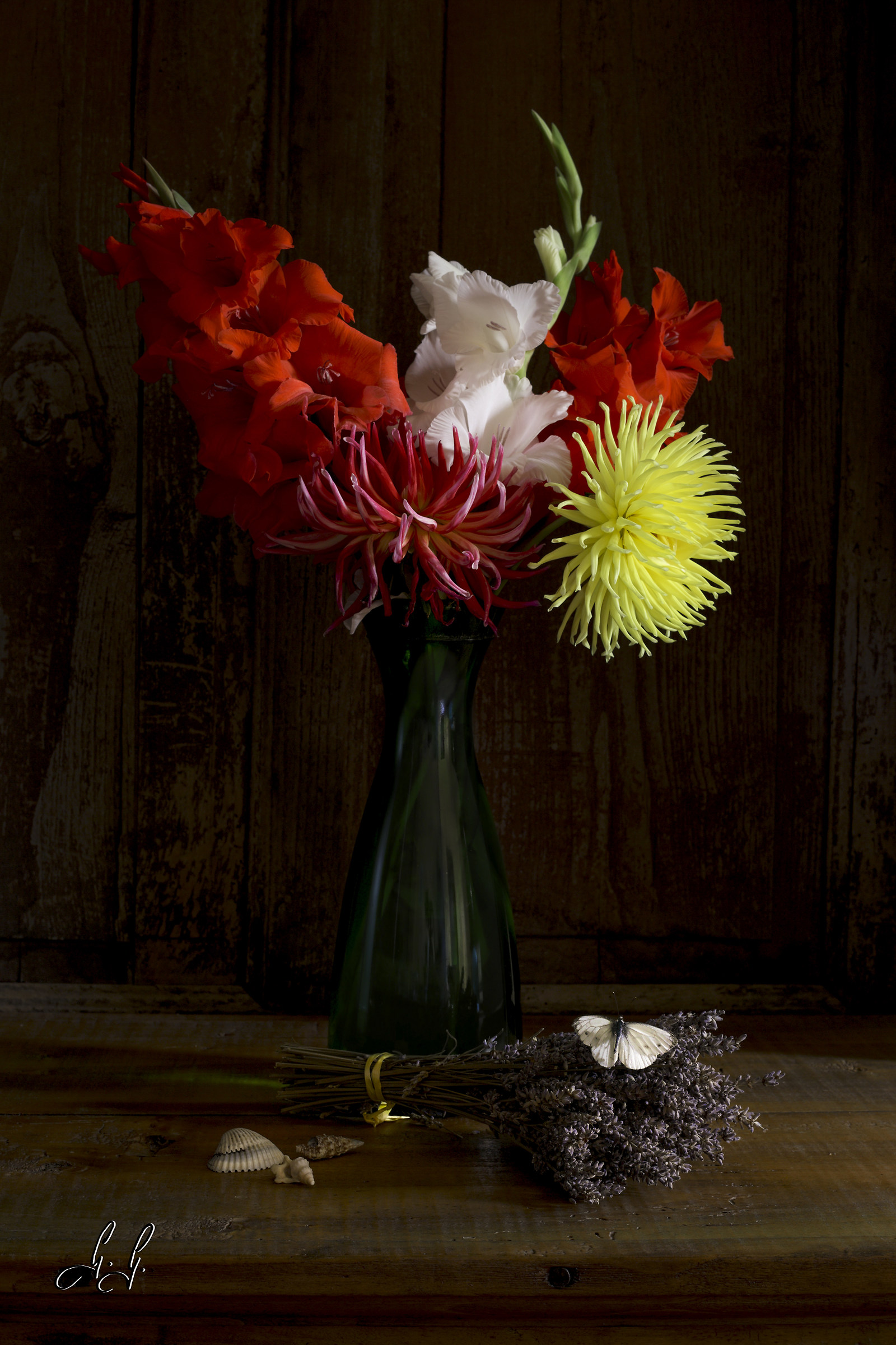 Vase of gladioli and butterfly
