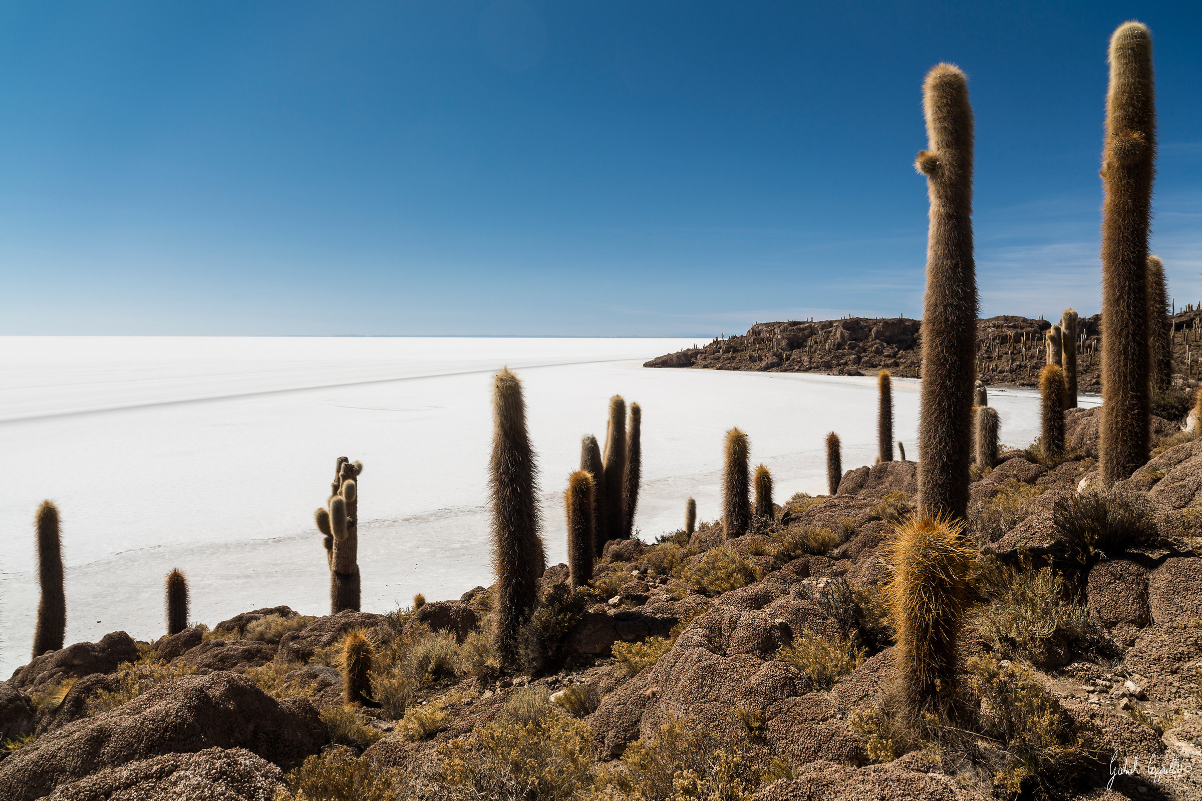 L'isola che non c'è