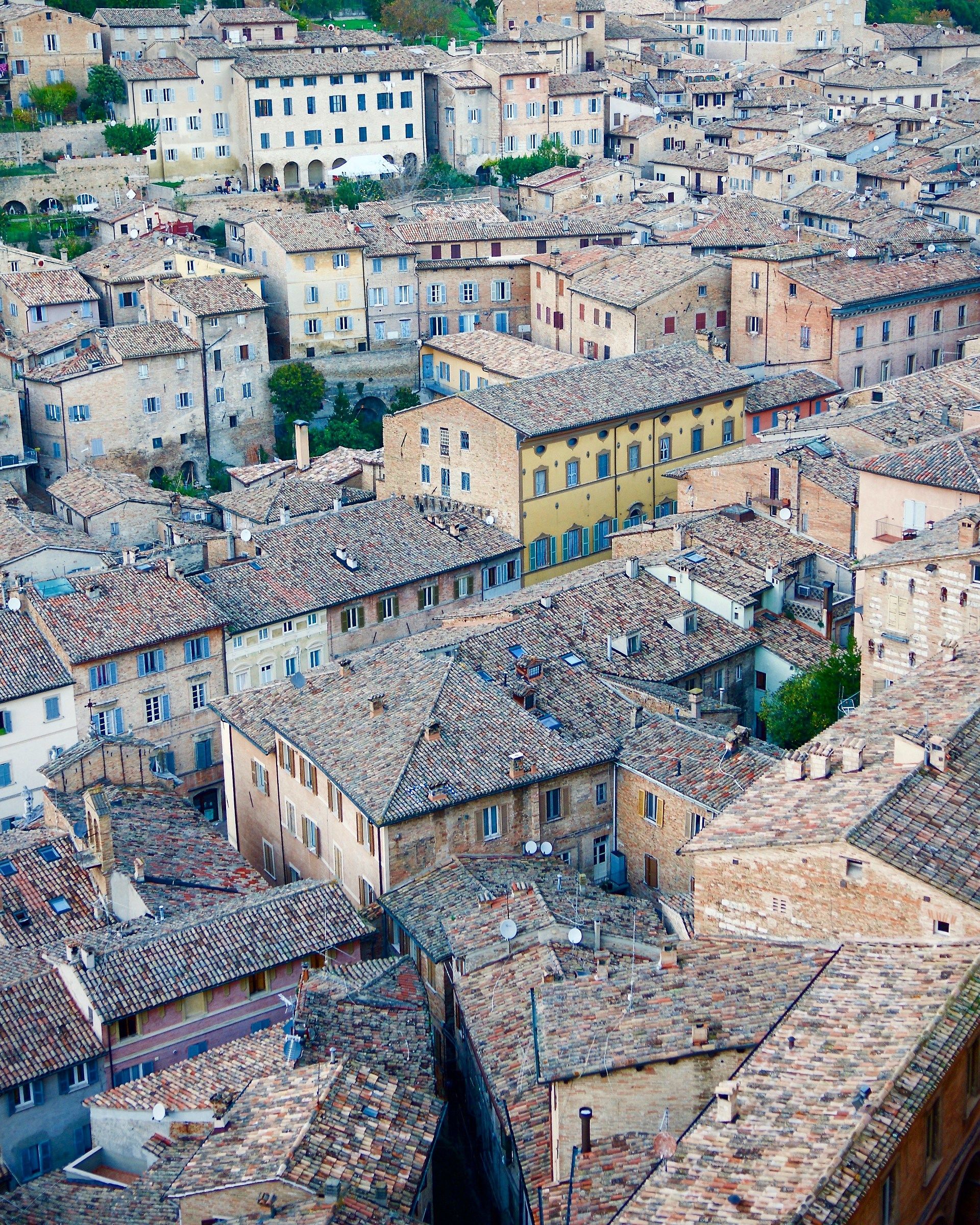 roofs of Urbino