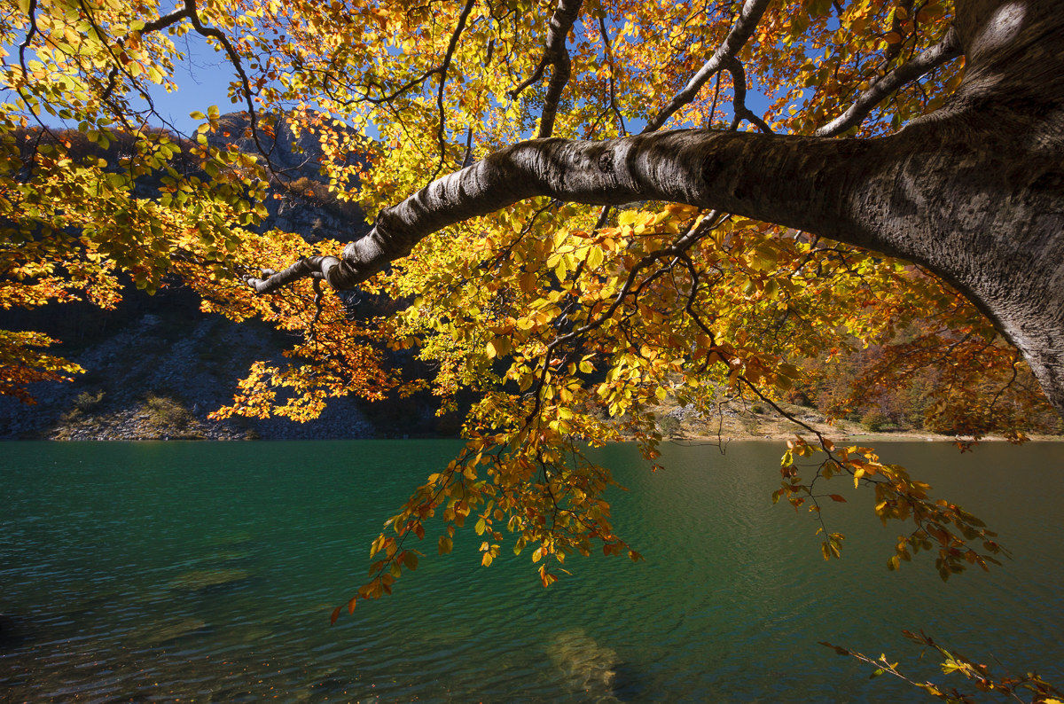 Autumn on the lake