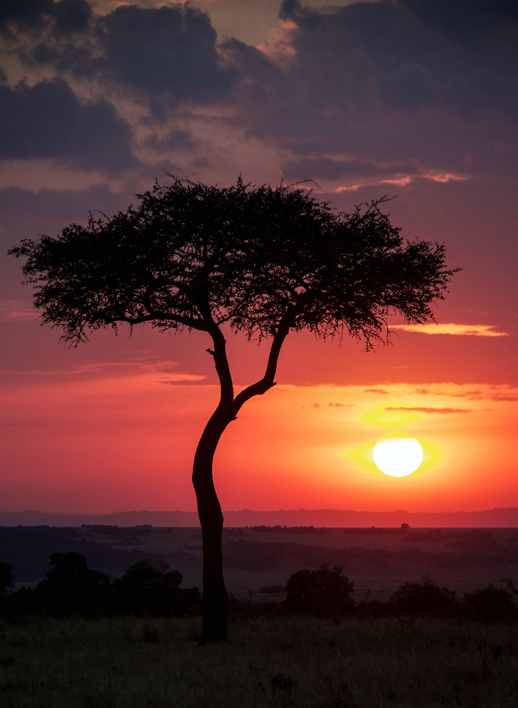 Sunset in Masai Mara (Kenia)