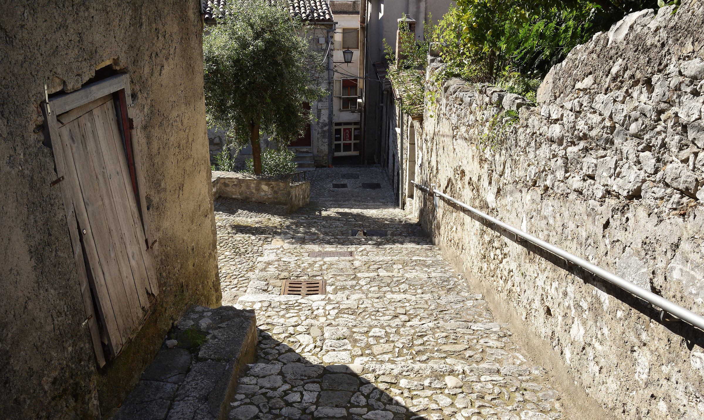 A fall was easy !! ..