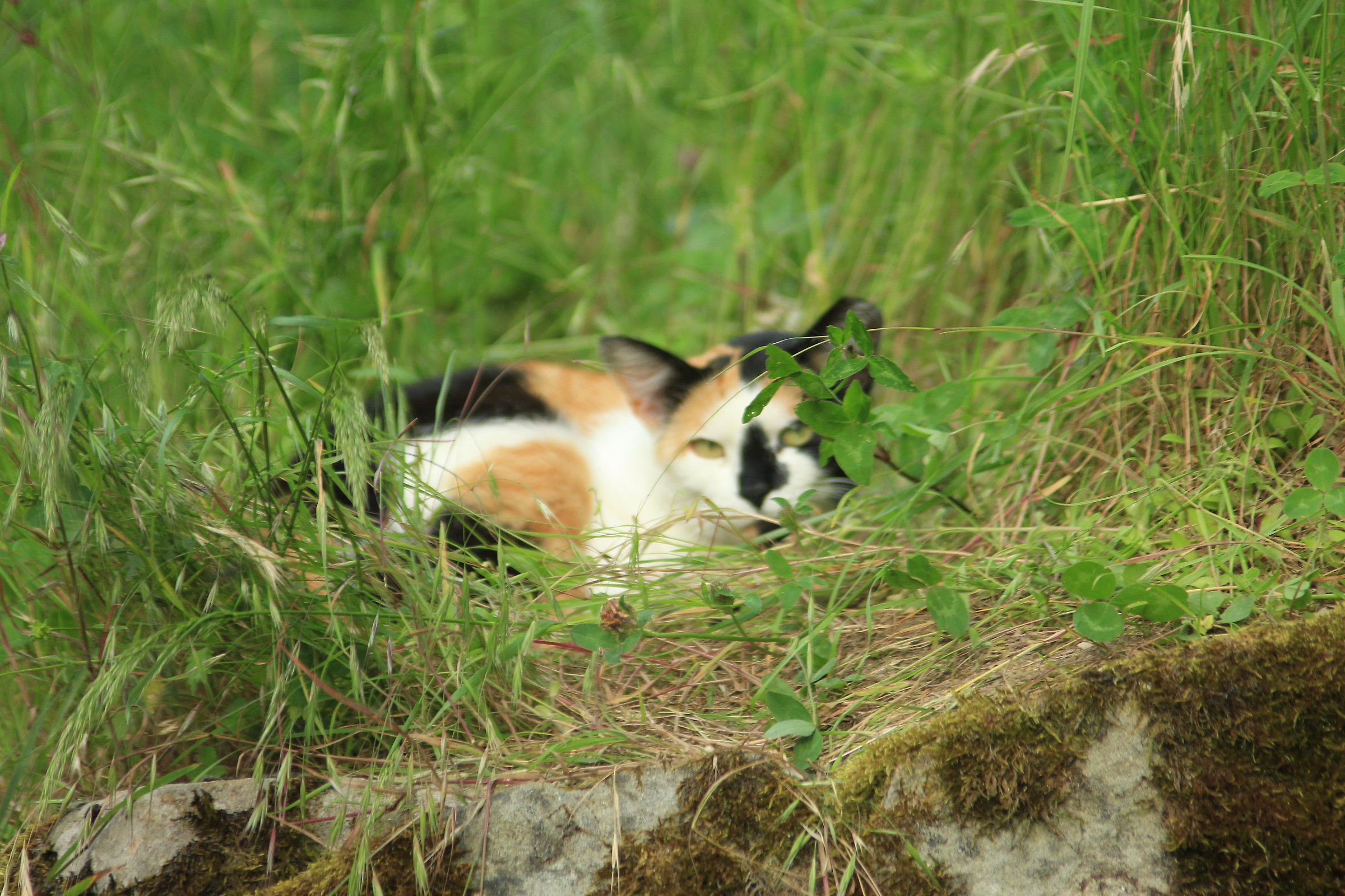 let's play hide and seek?!