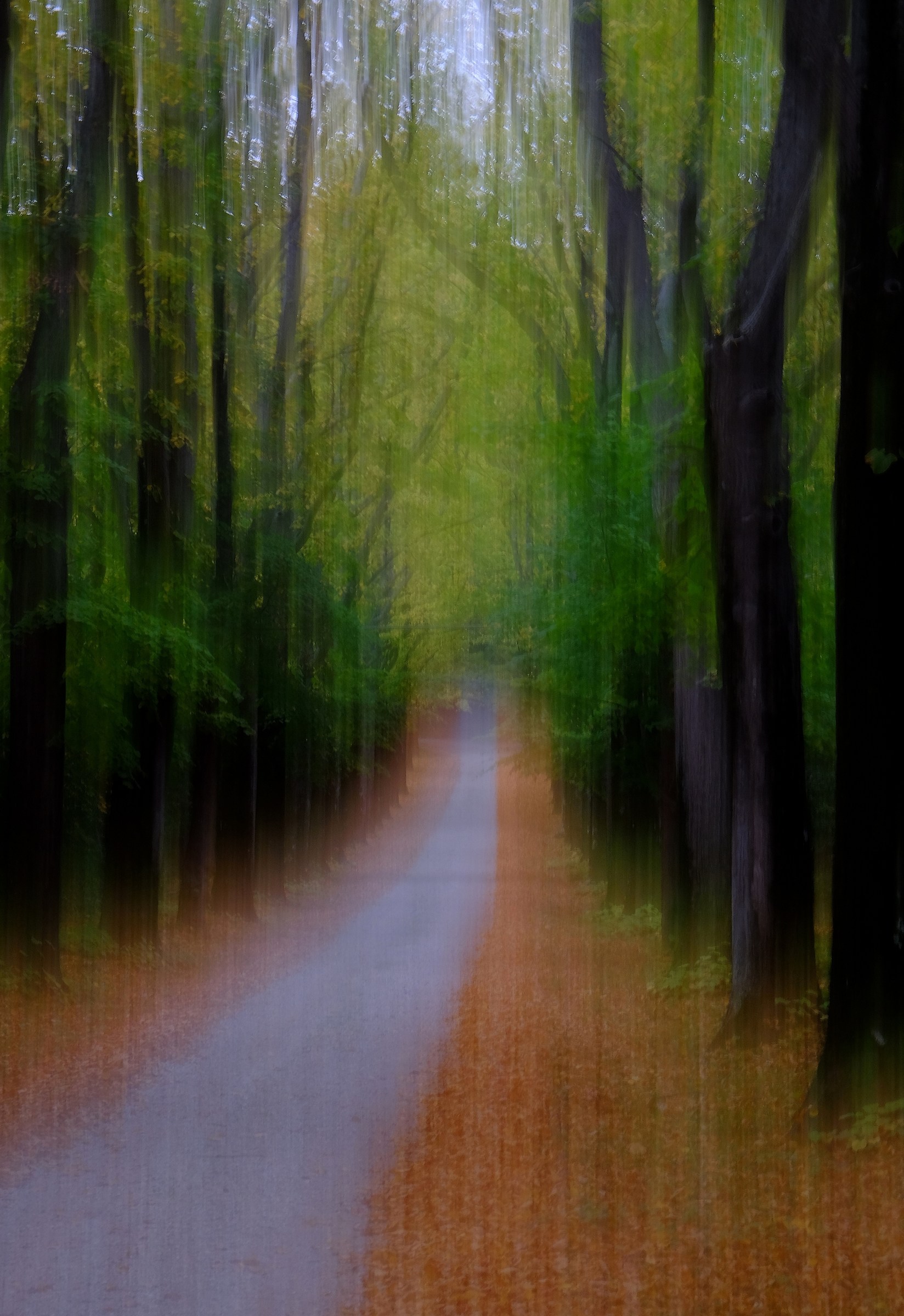 The avenue enchanted