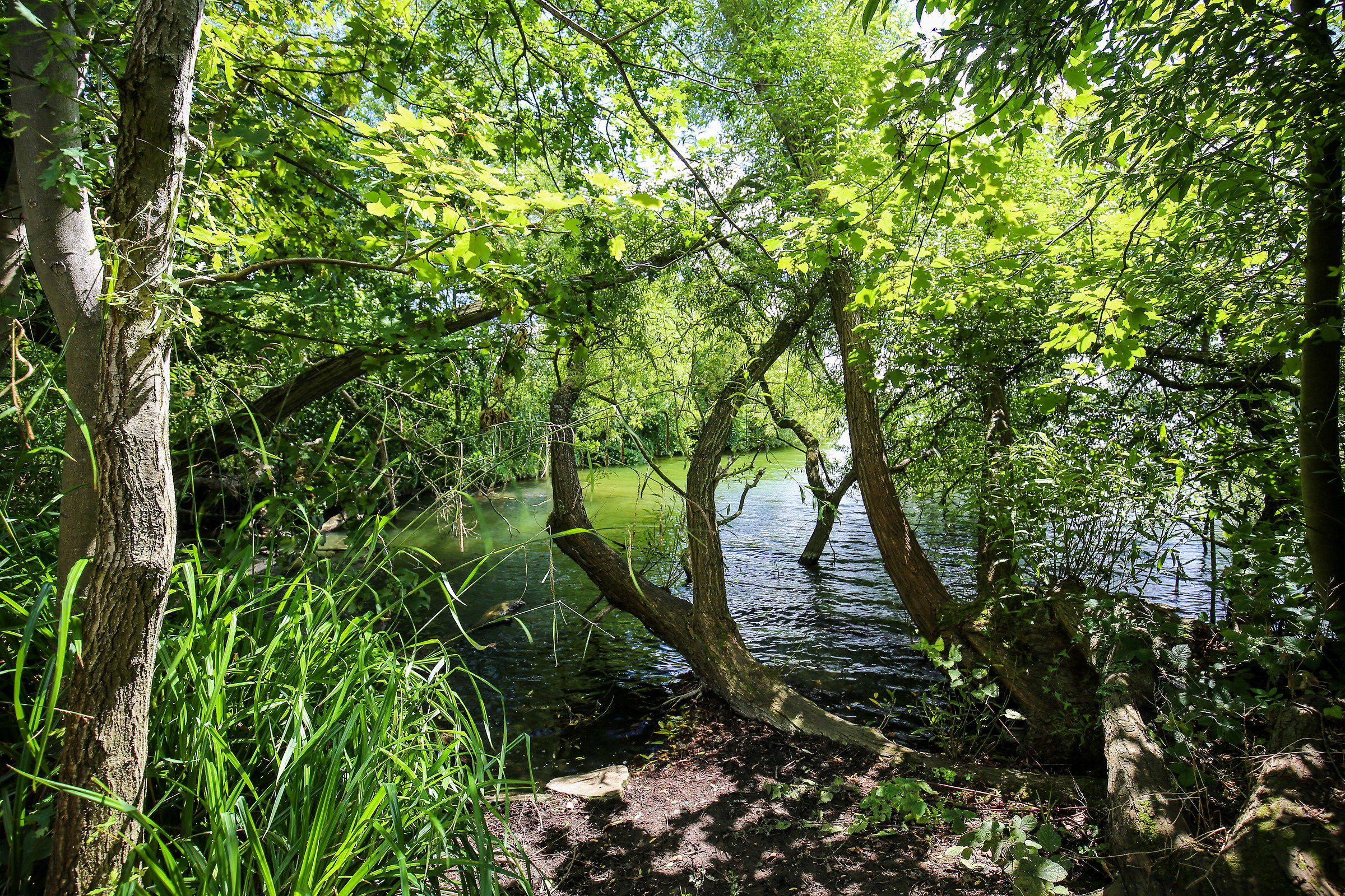 Hooks Marsh Lake (lea valley) uk
