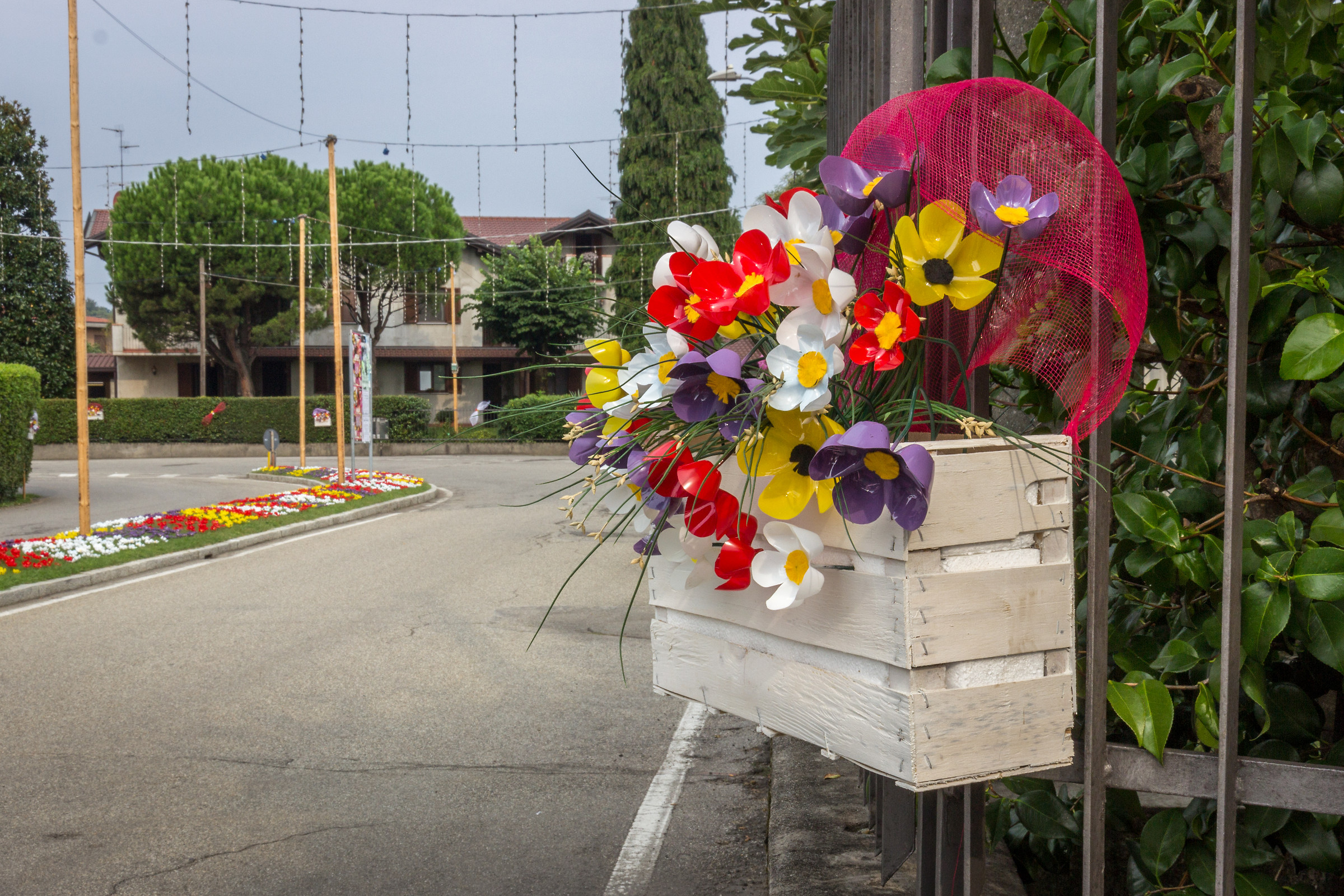 Fiori di campo in via Verdi