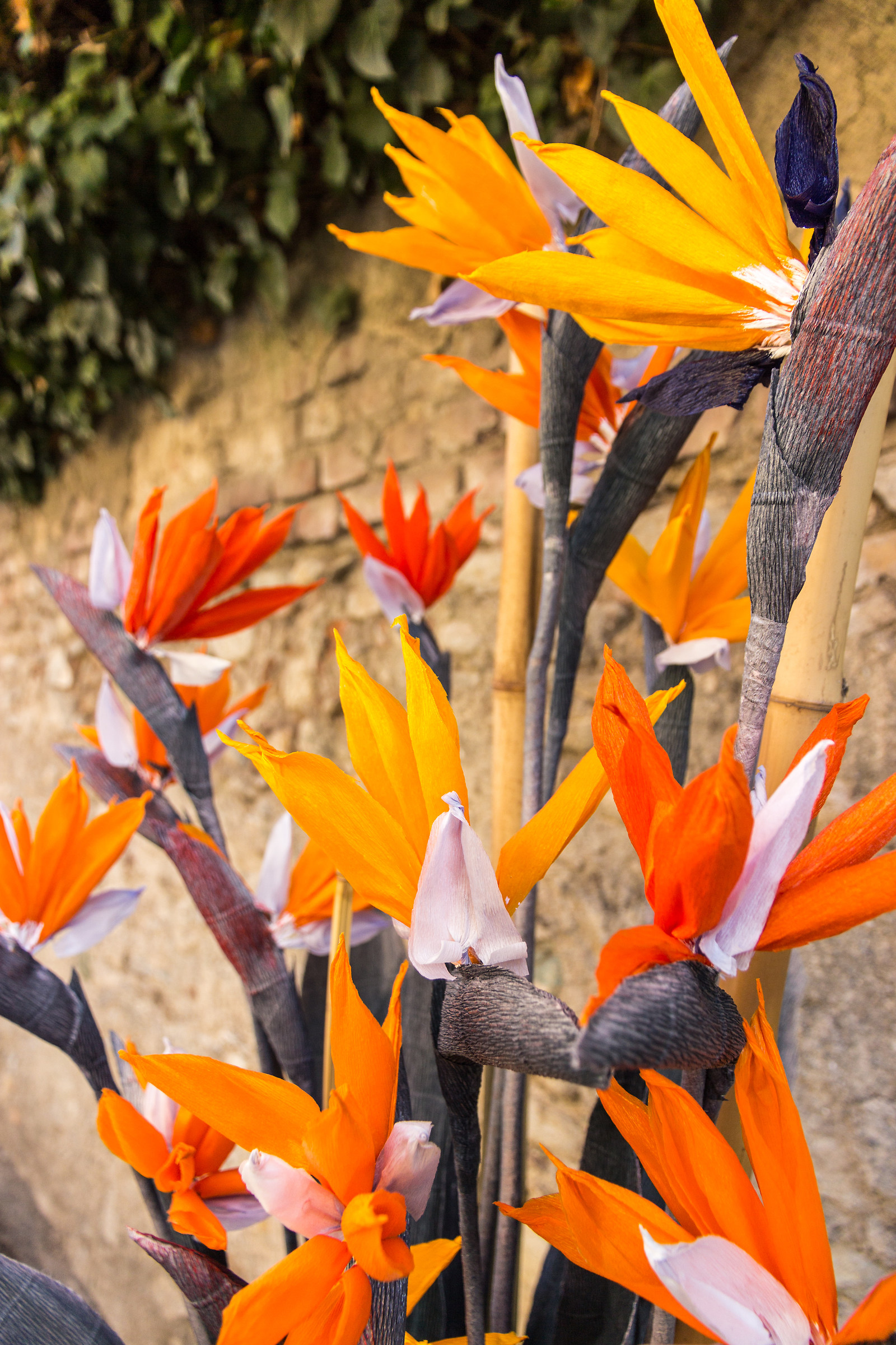 Sterlizie di via Genova