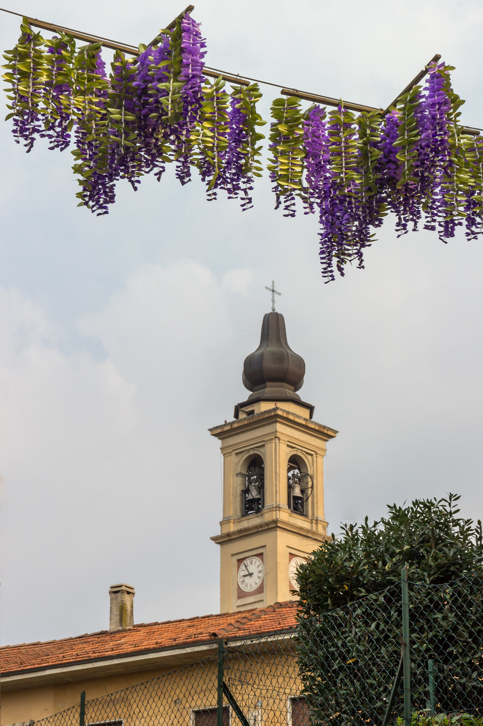 Glicini in via Milano e campanile della chiesa