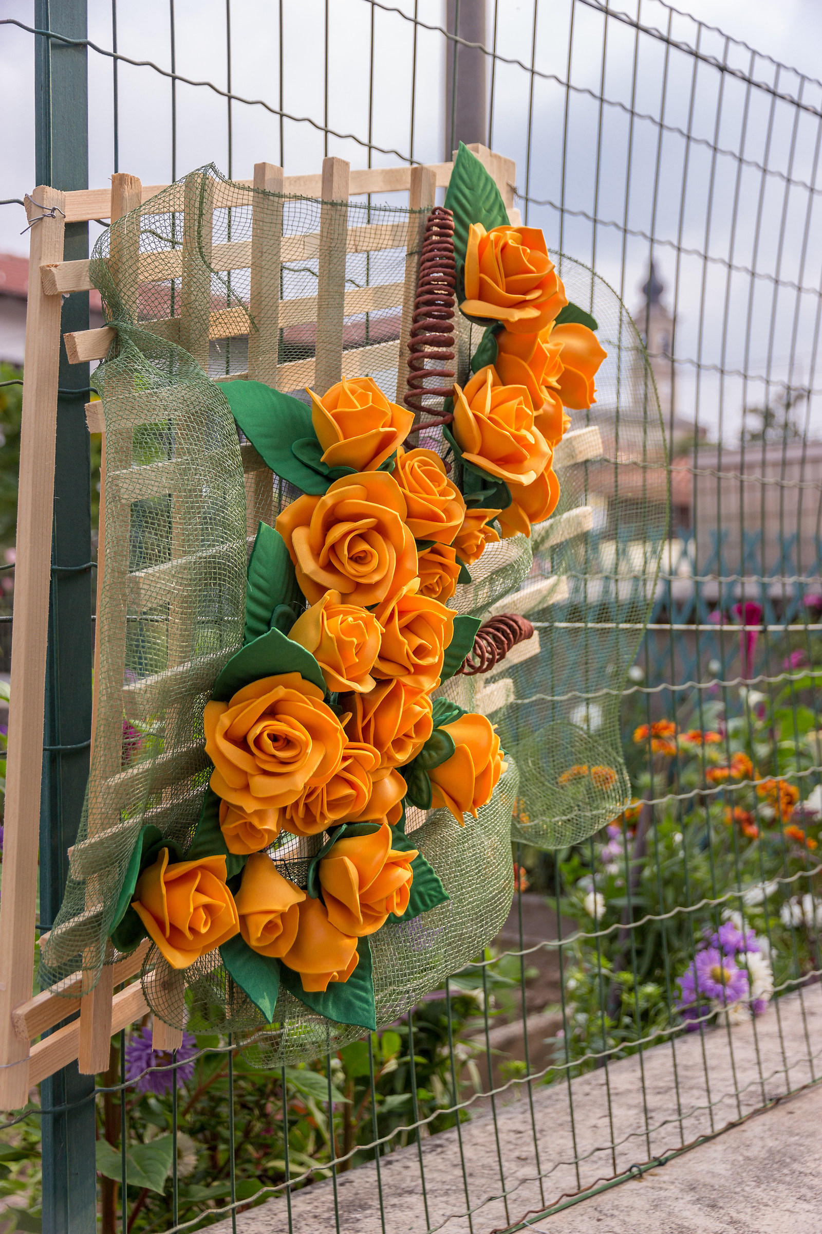 Le rose di vicolo dei romani