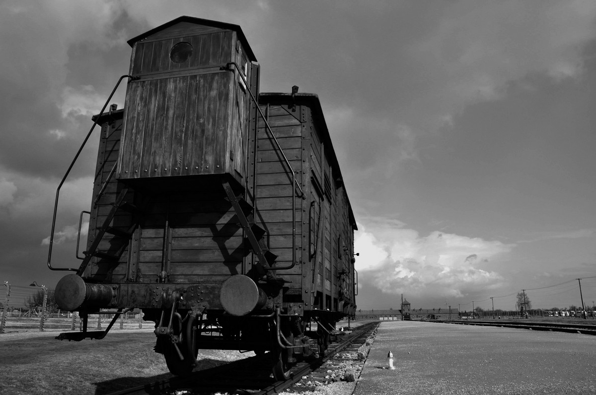 The actual train of the Damned