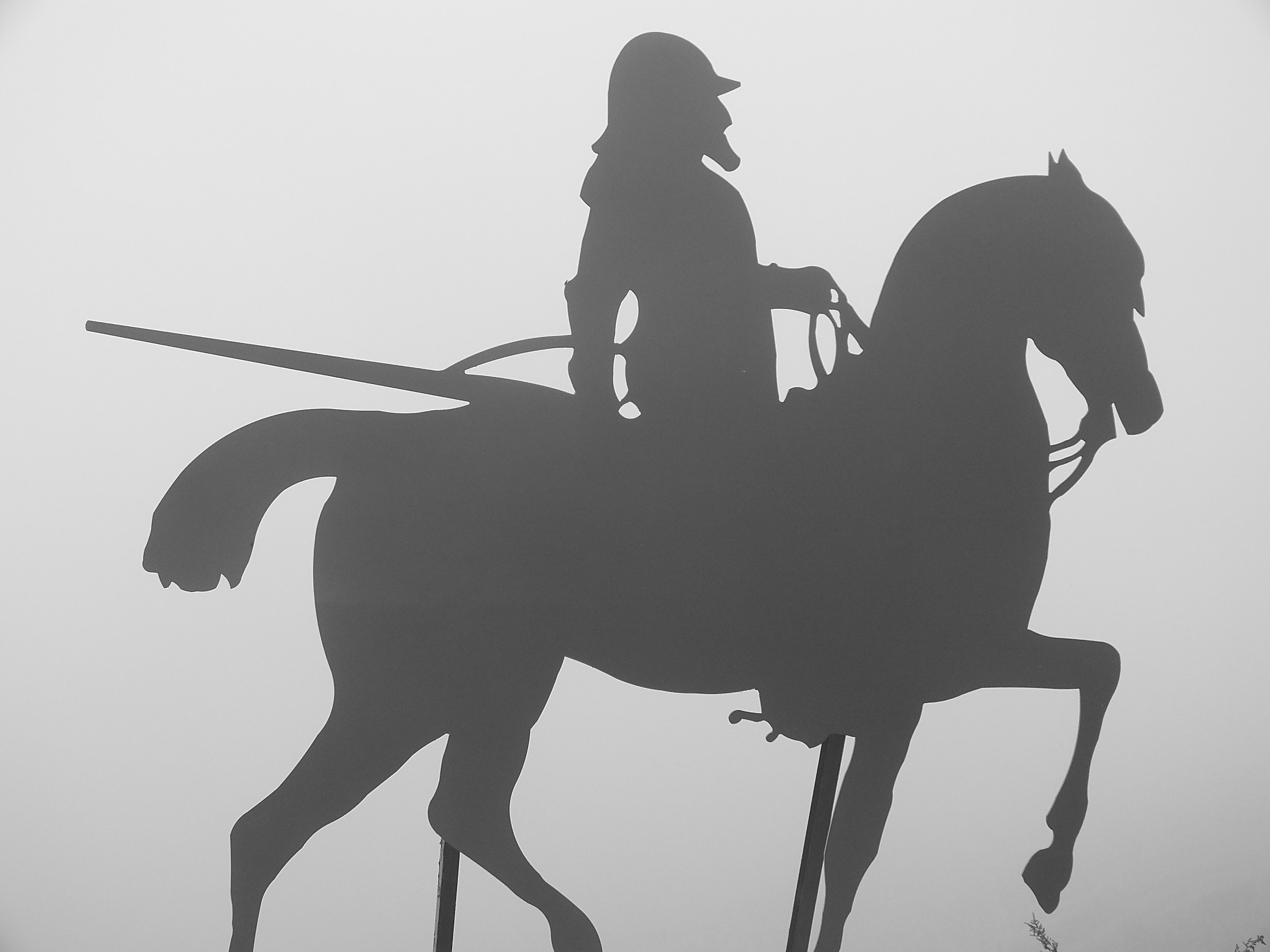 Il cavaliere nella nebbia