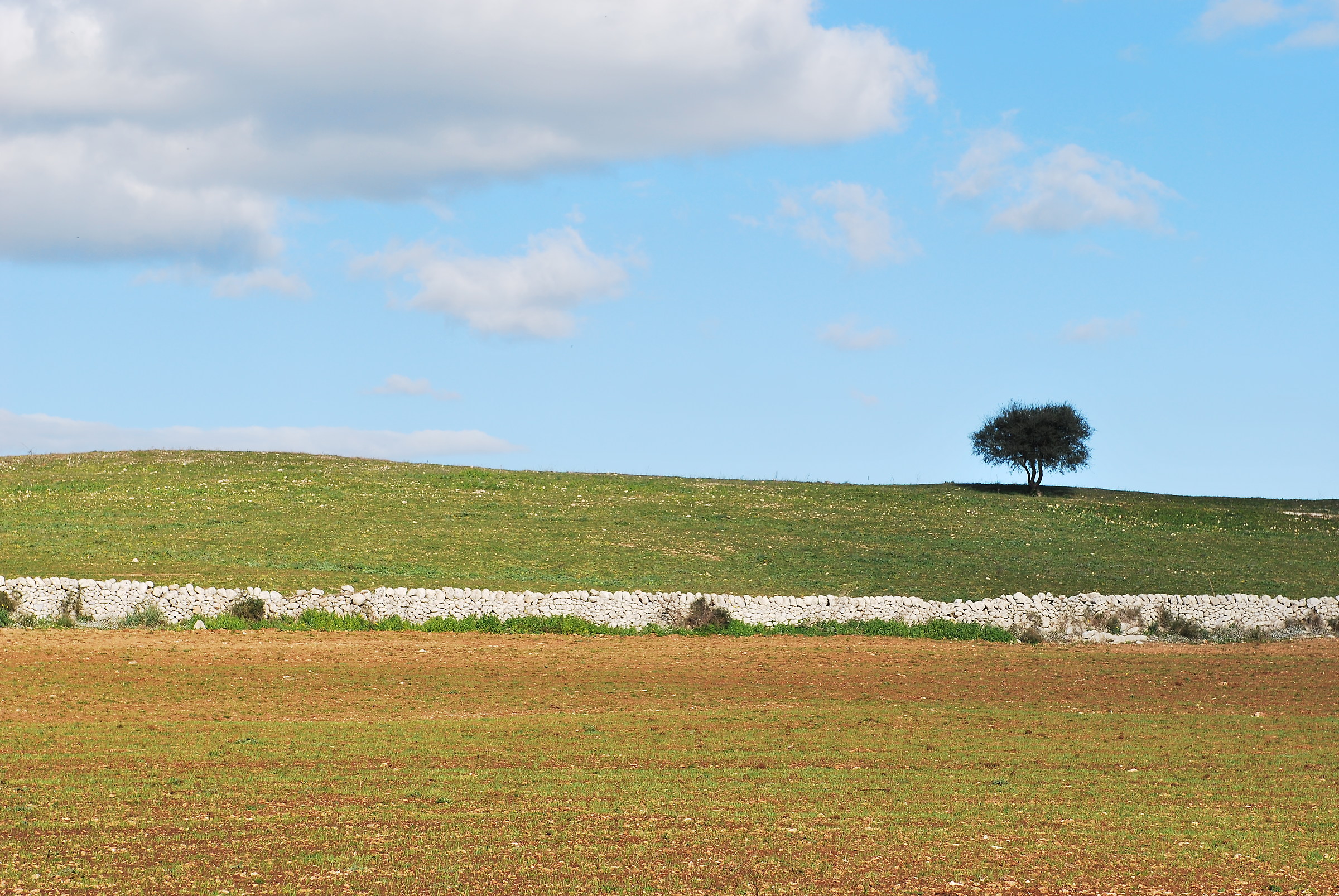 I colori dell'entroterra siculo (Pantalica)