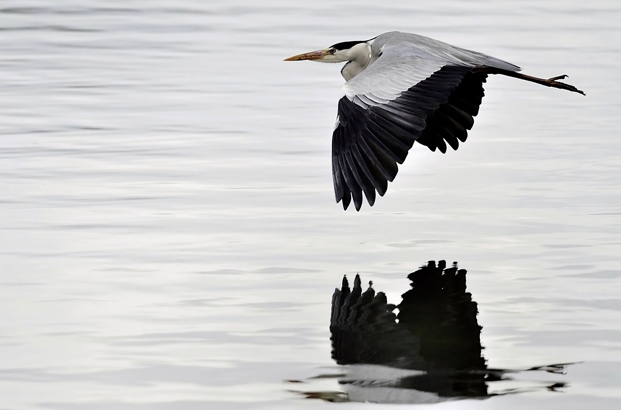 Flying over the Tiber