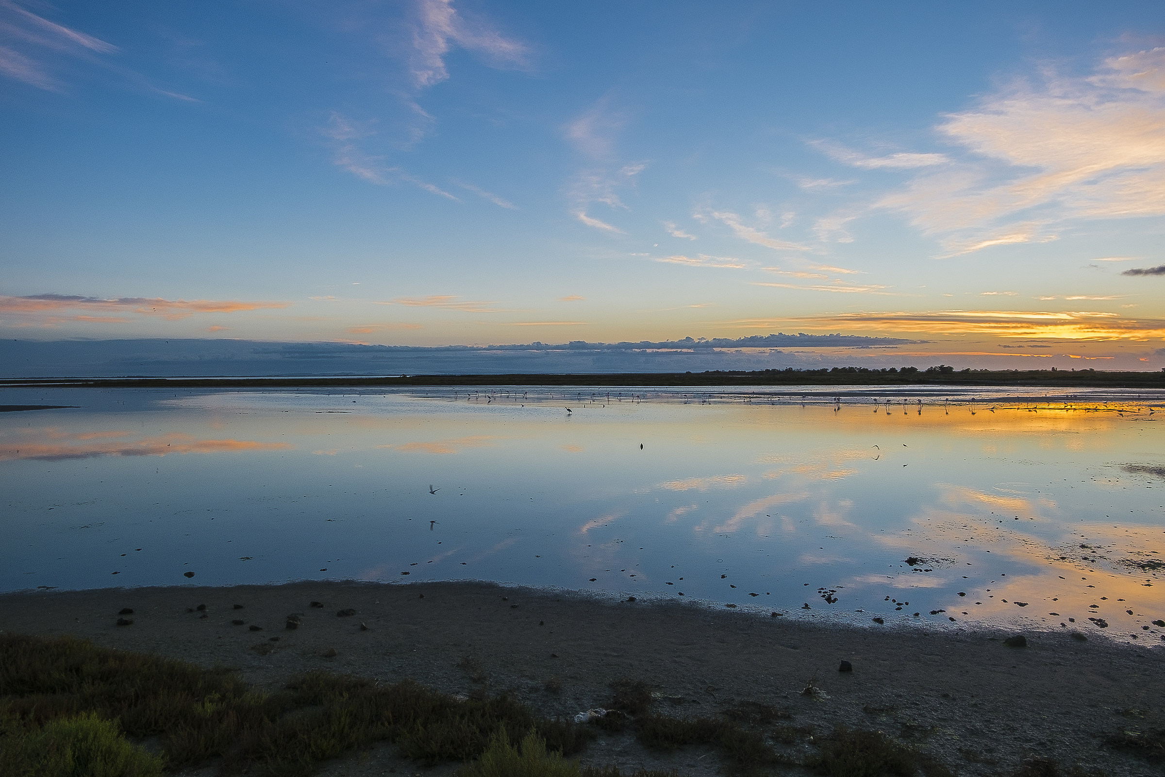 Sunrise over the marsh