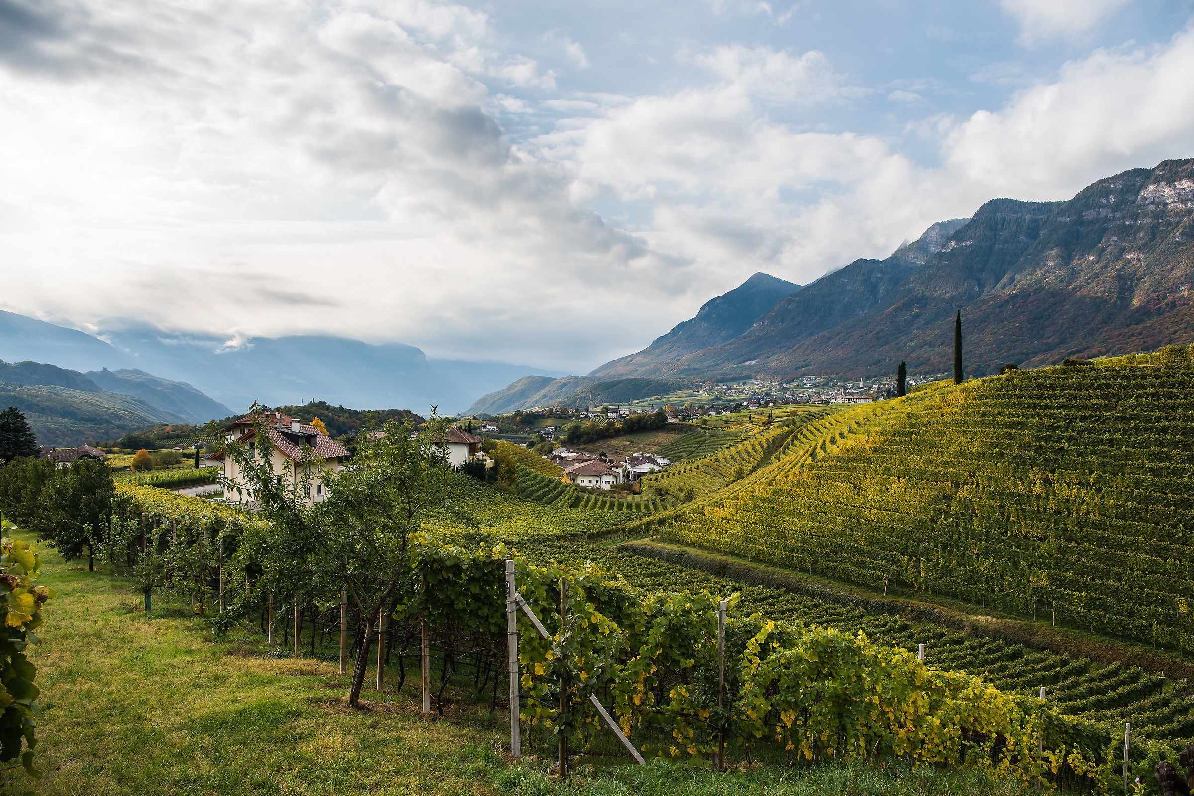 Planiza di Sopra - Caldaro