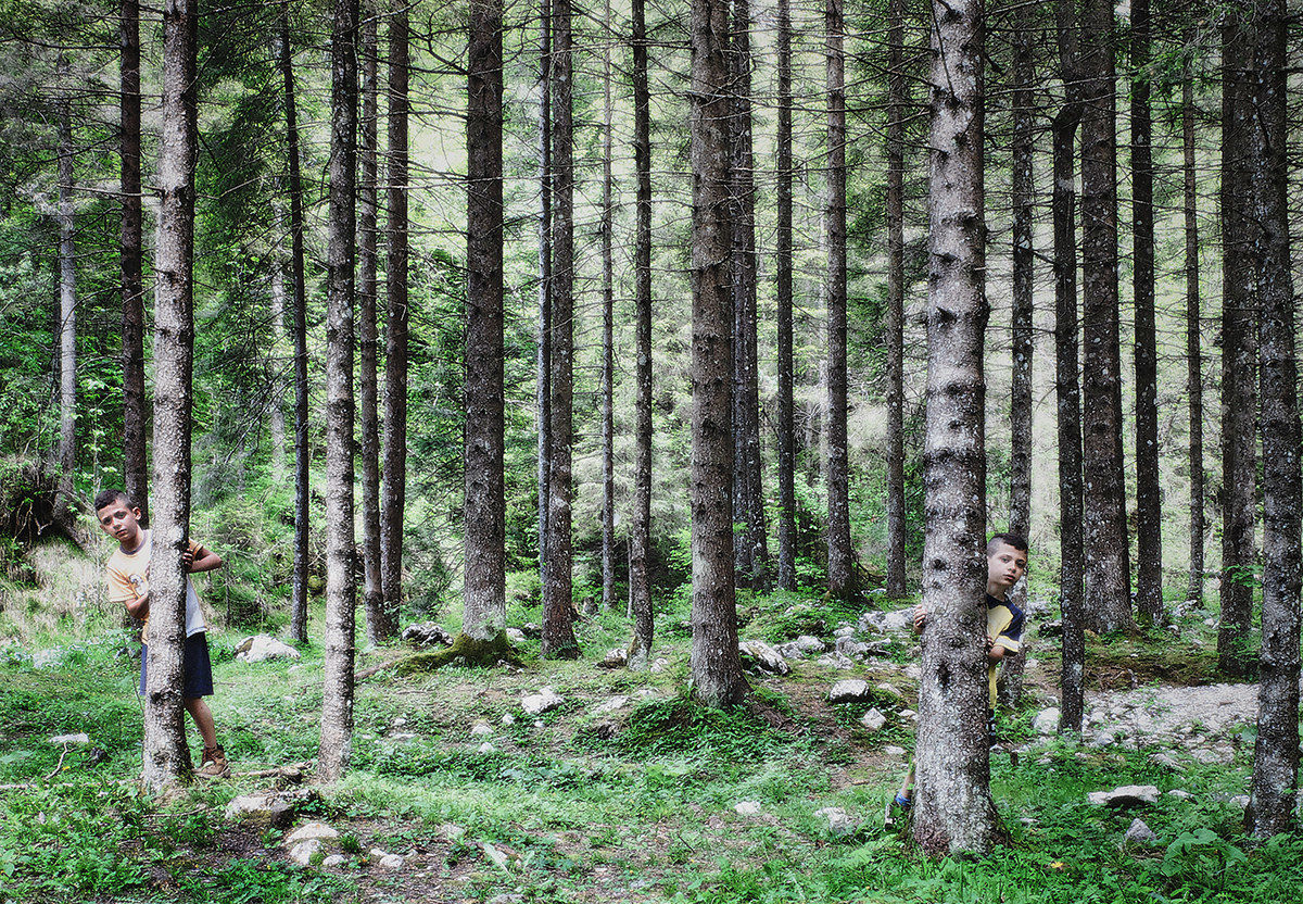 goblins in the woods