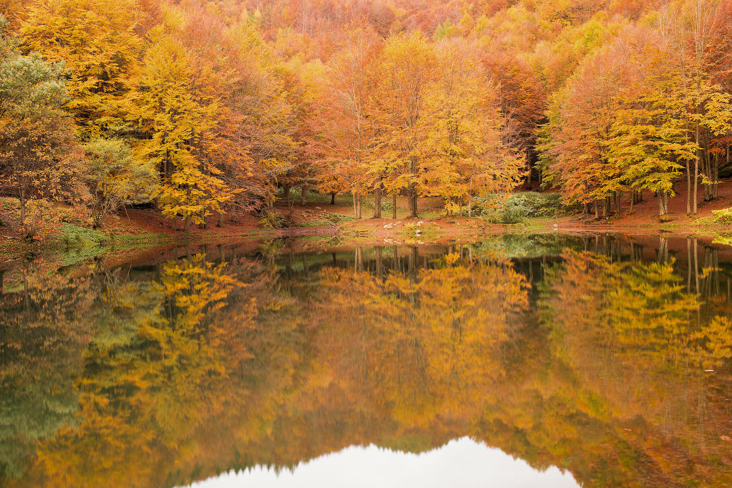la forza del colore, Corno alle scale