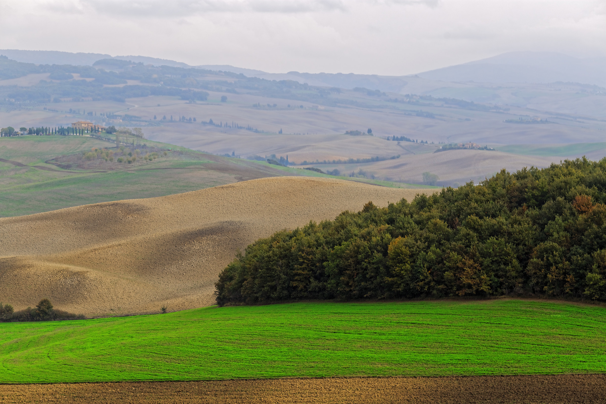 Colors in Val d'Orcia