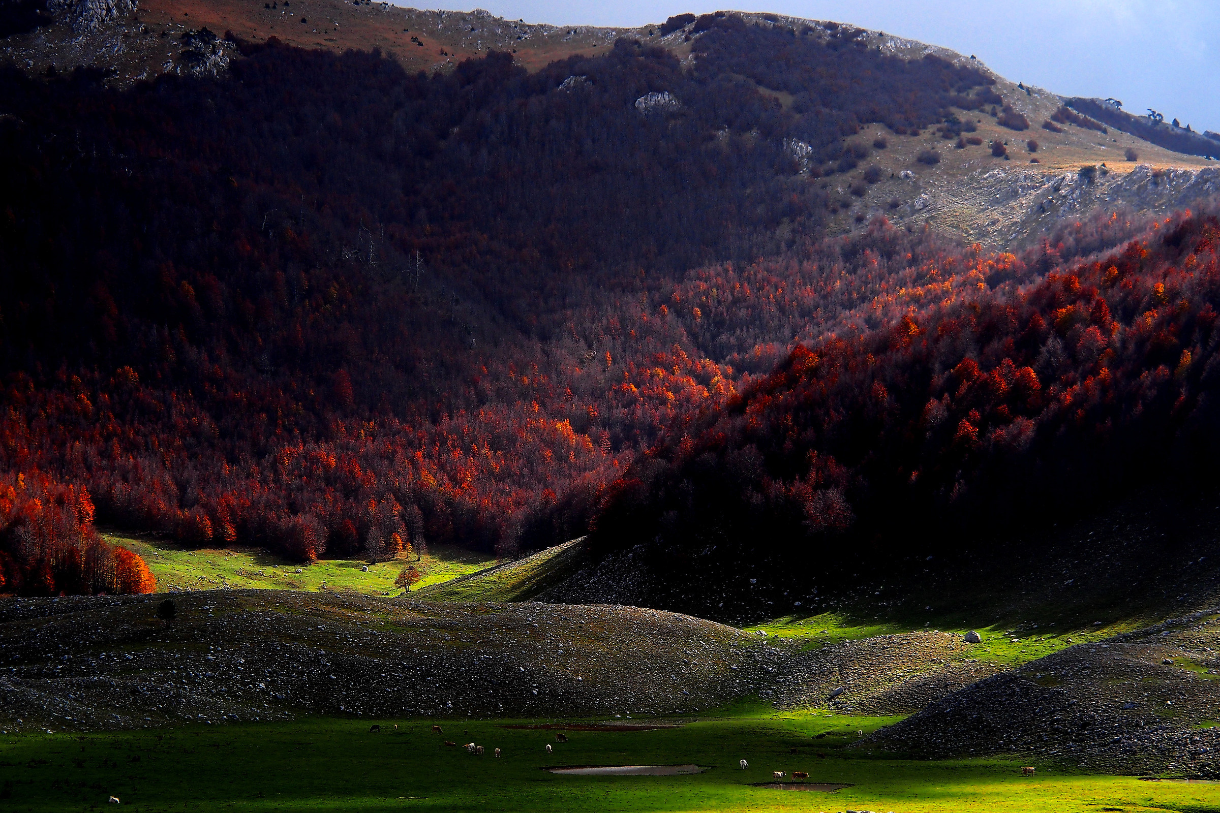 Light in the valley ...