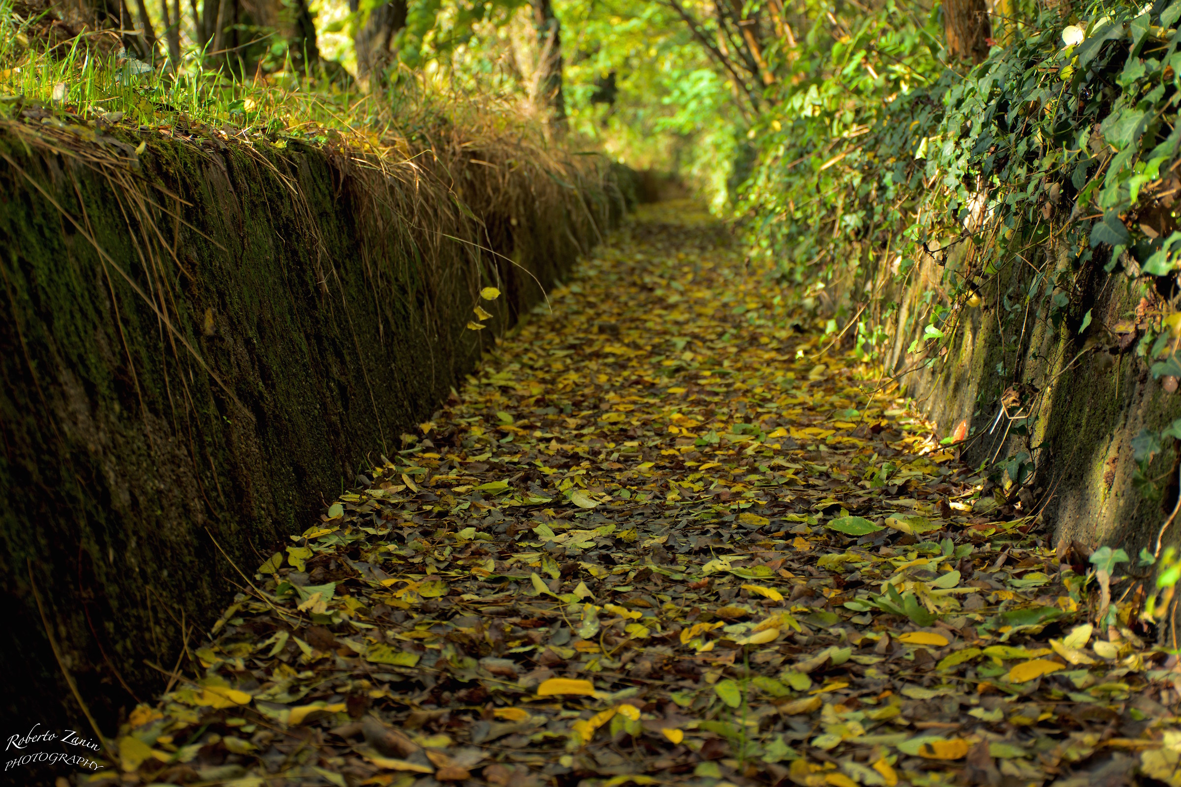 Autunno nel canale Villoresi