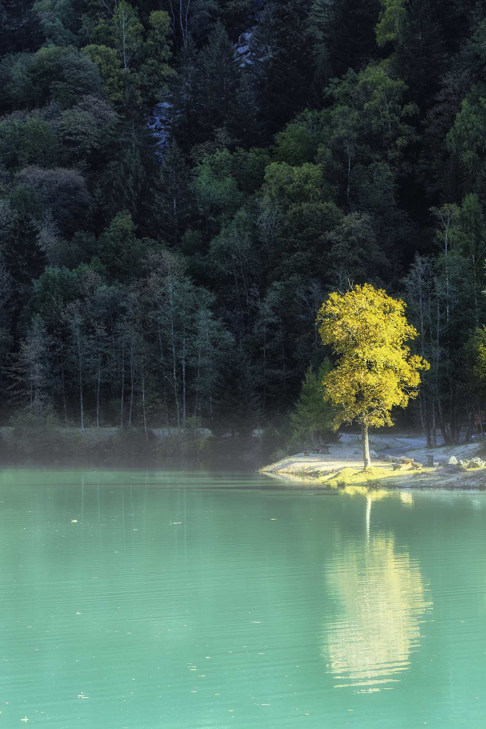 Luce mattutina d'inizio autunno.