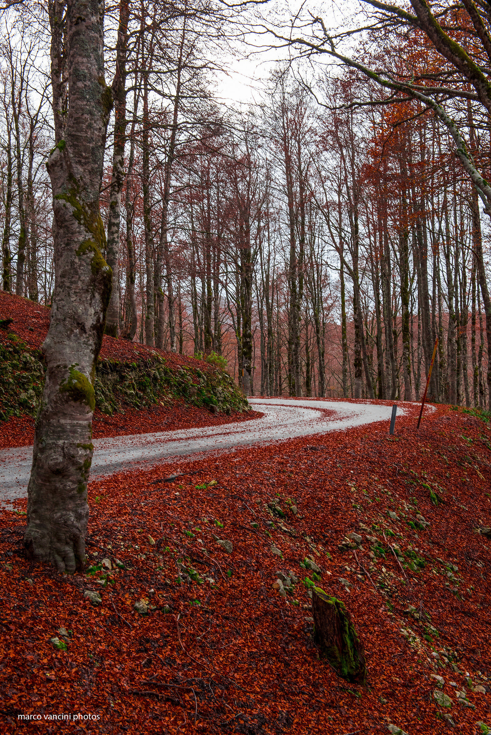 attraversando l'autunno
