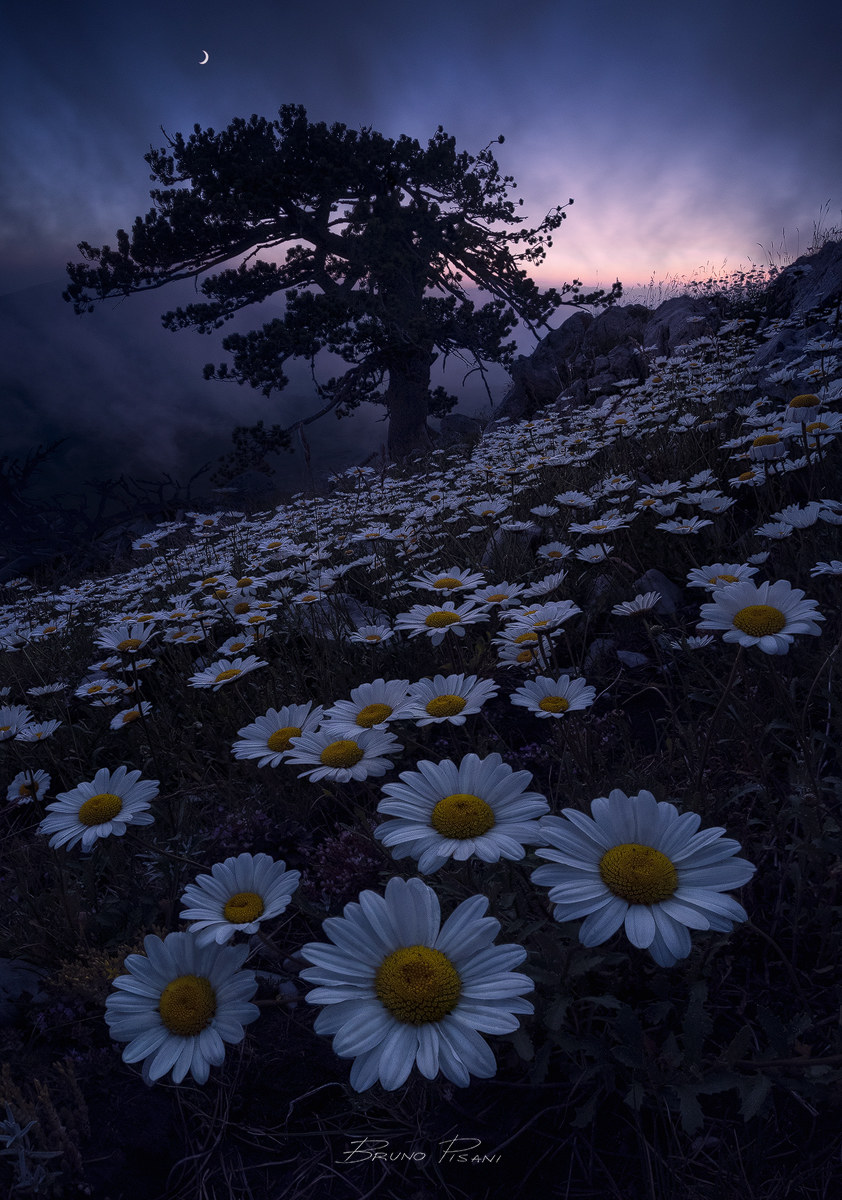 Falling Into Darkness