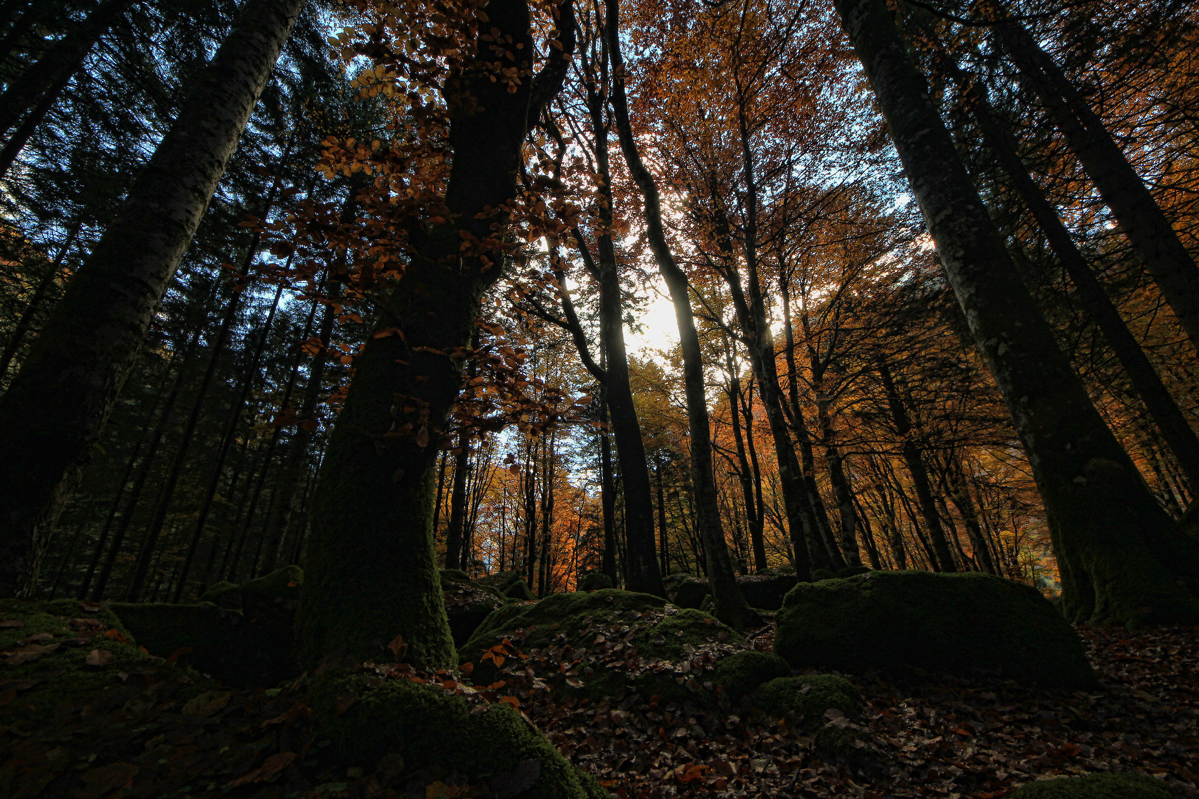 faggeta Bagni Masino