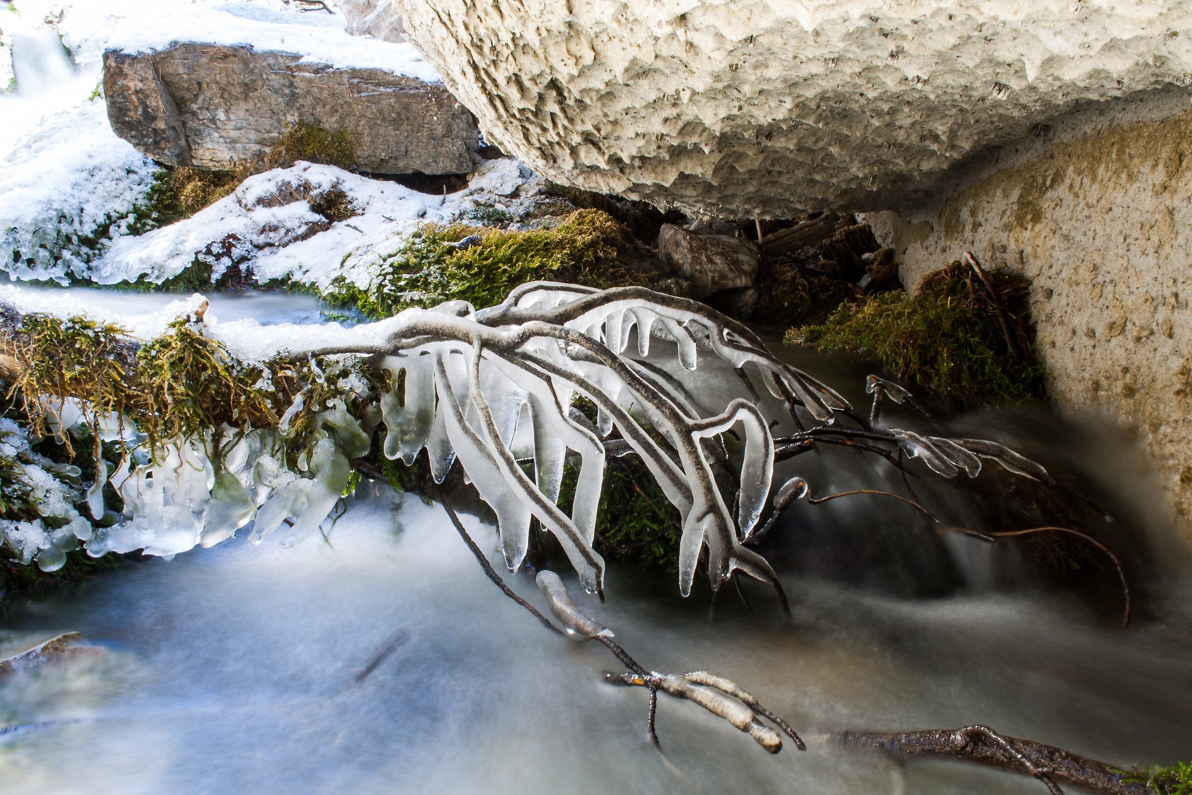 icicles on the stream