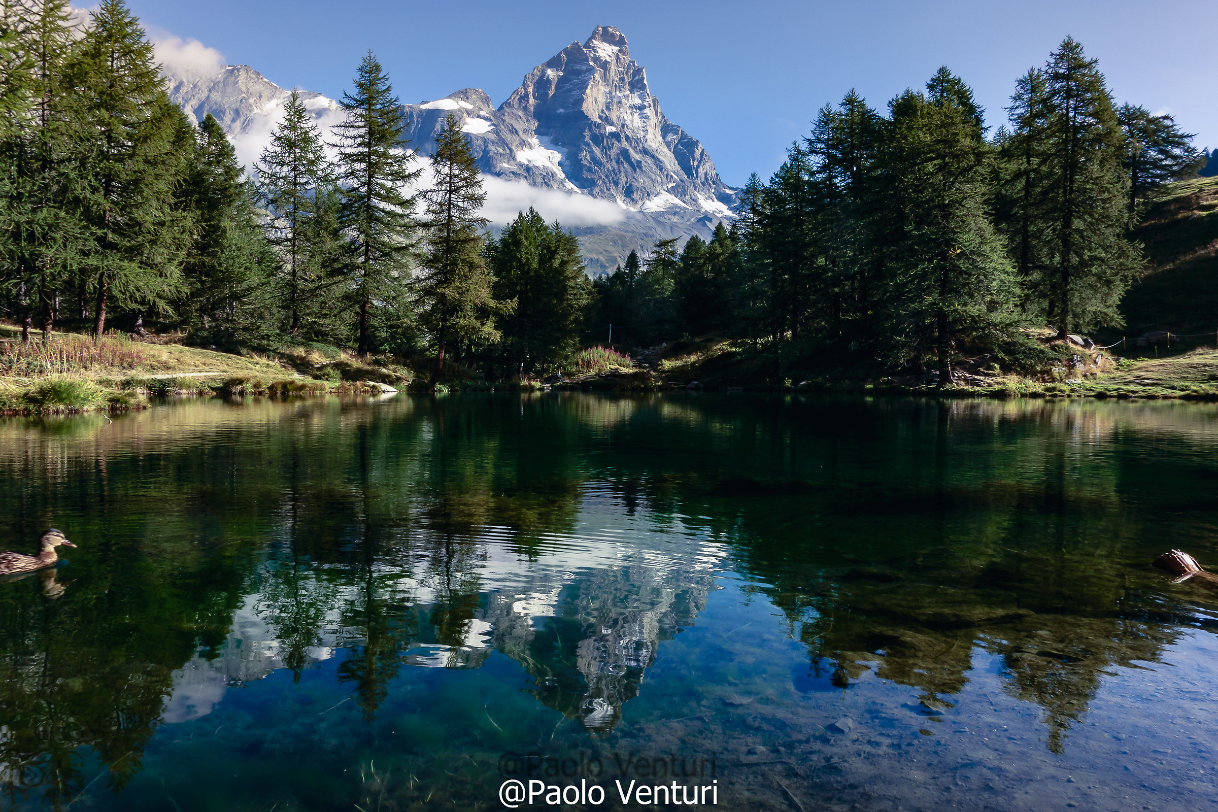 l 'utility of tranquility