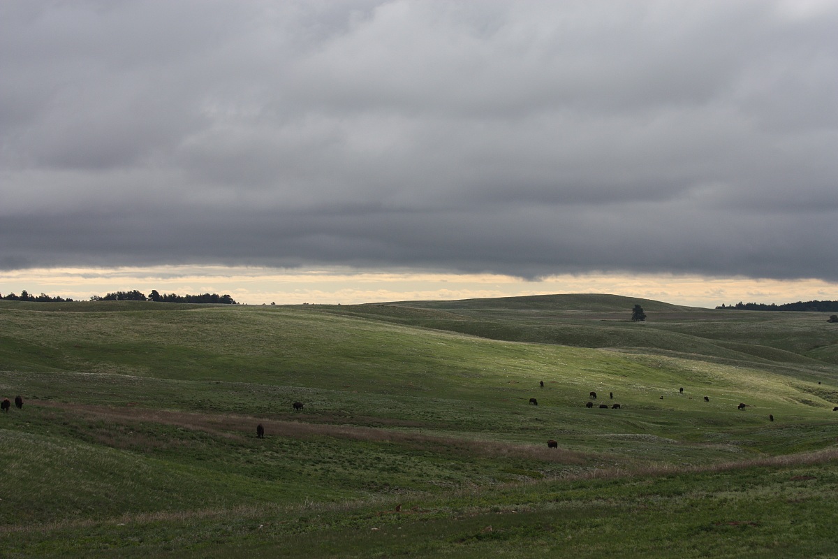 montana - United States