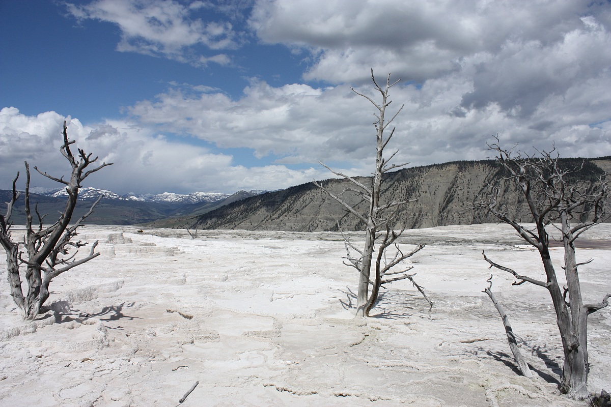 Yellowstone - Stati Uniti
