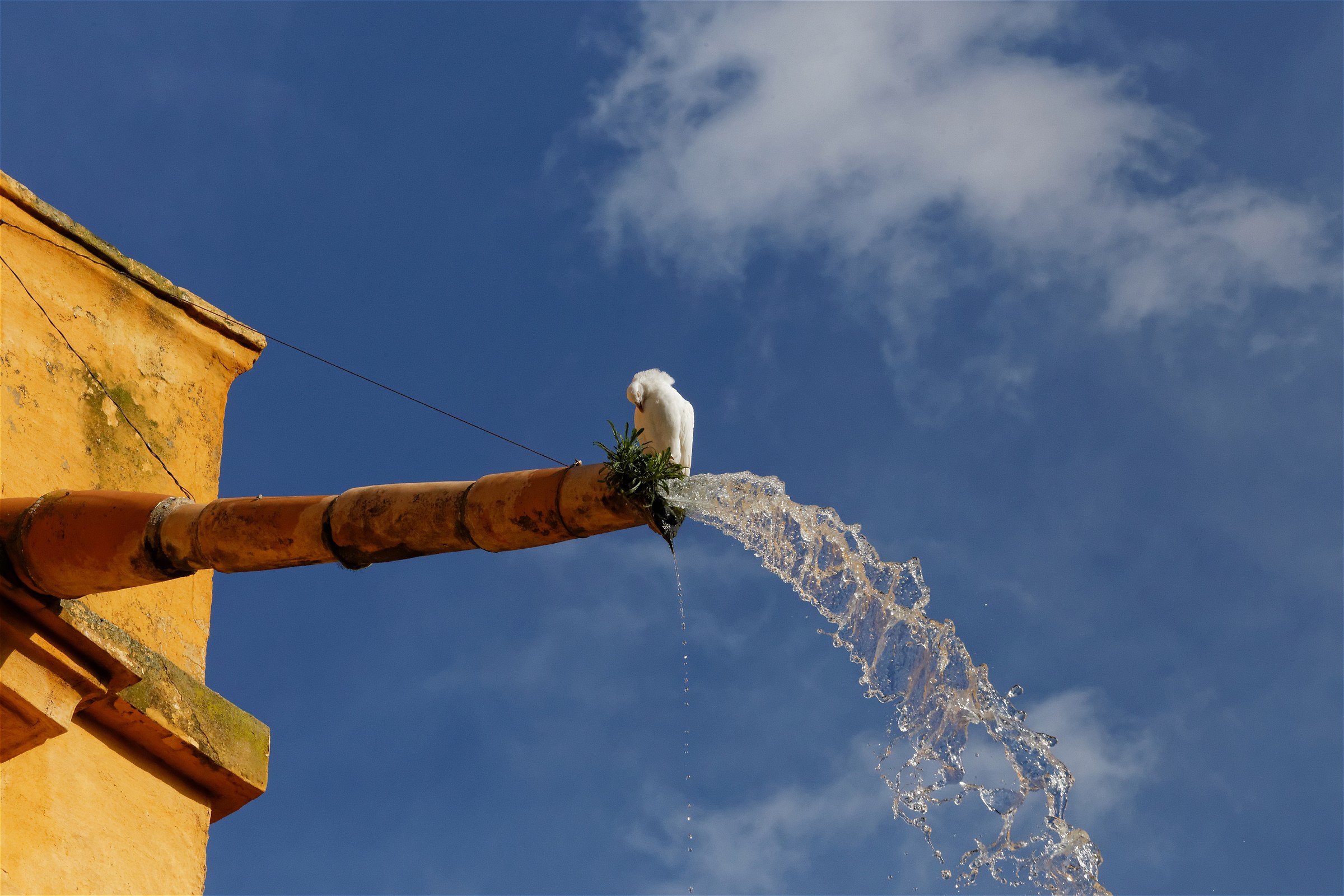 Water, air, earth and sky