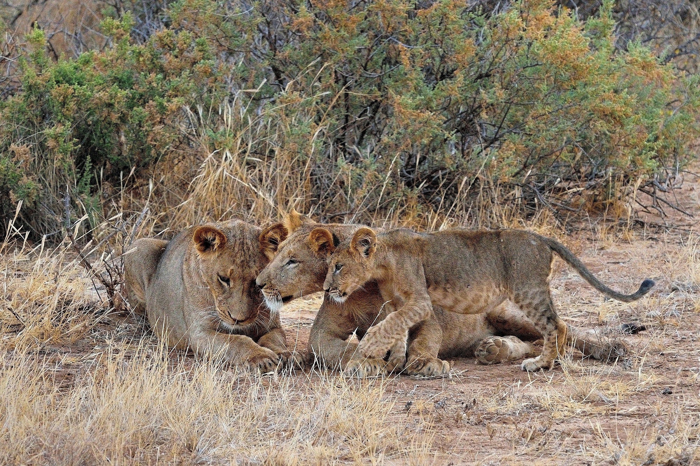 Hug of three generations