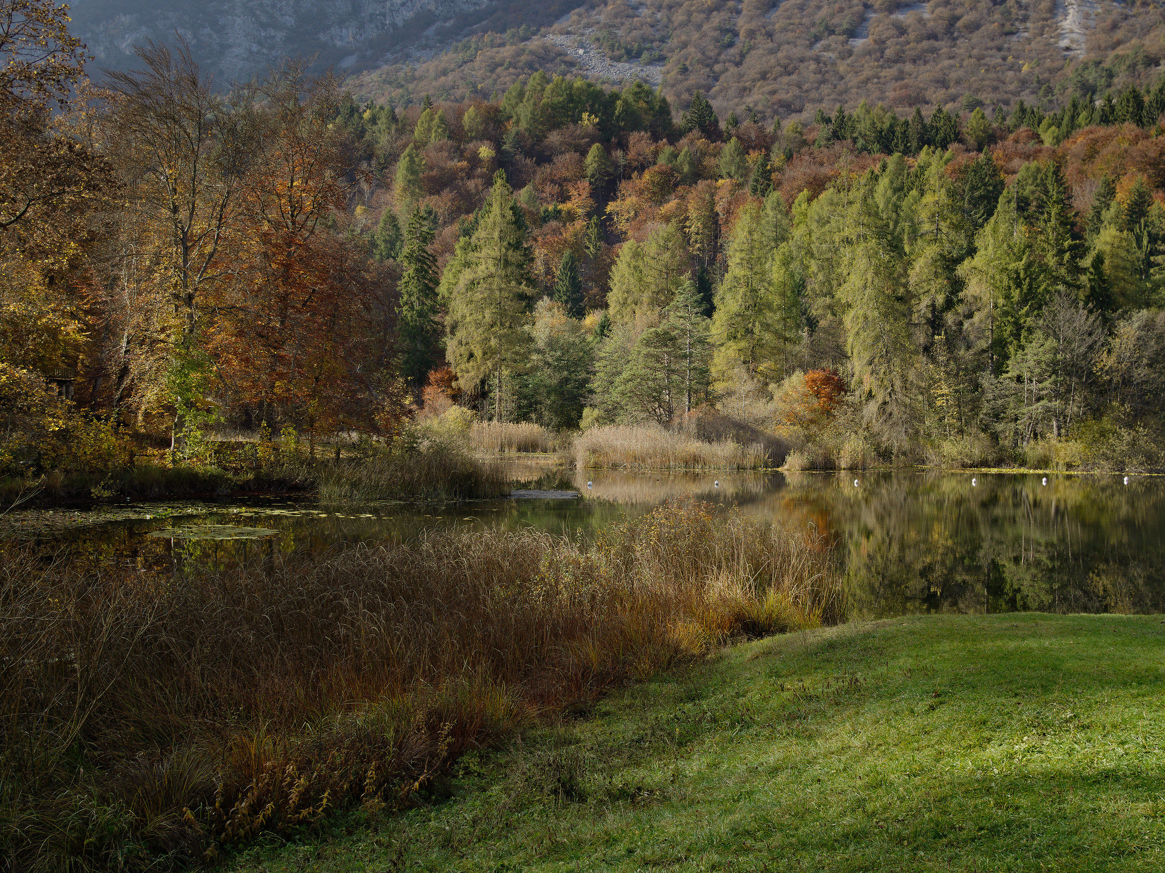 acquarello autunnale