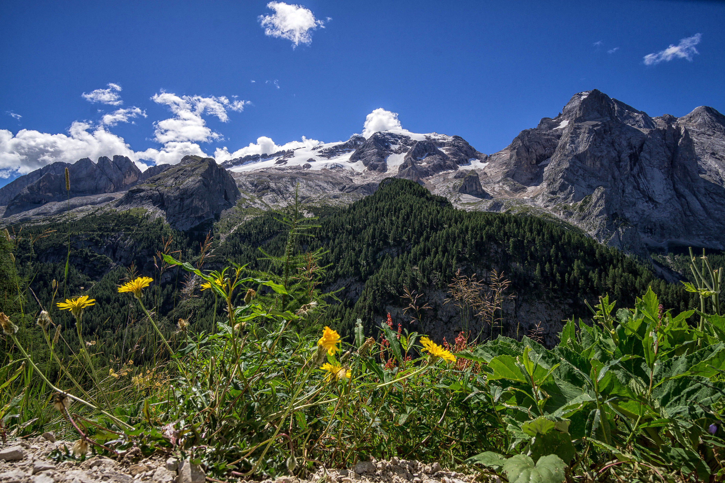 Tutti ad ammirarti...fiori, piante e persone!