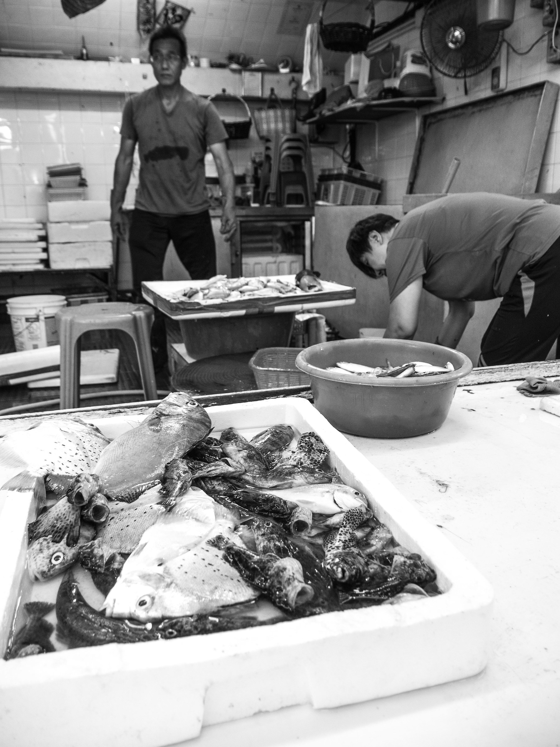 Pescivendoli e pesce B&W