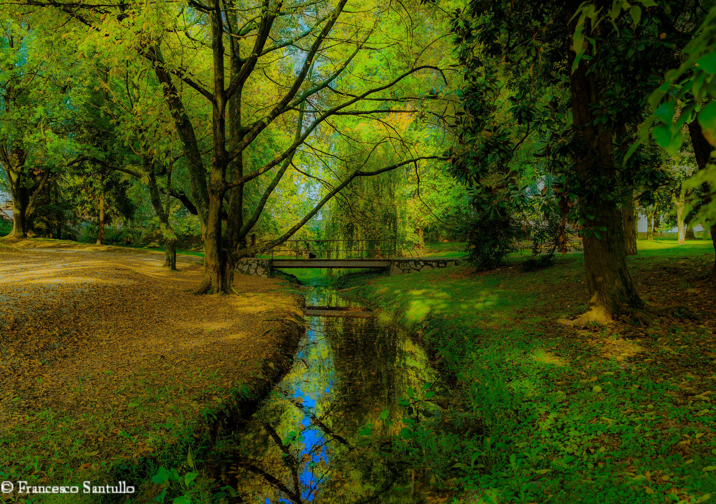 colors of autumn colors of autumn