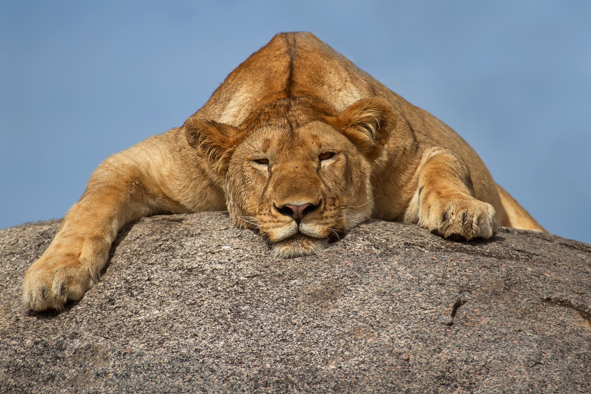 Anto's hot ...........................