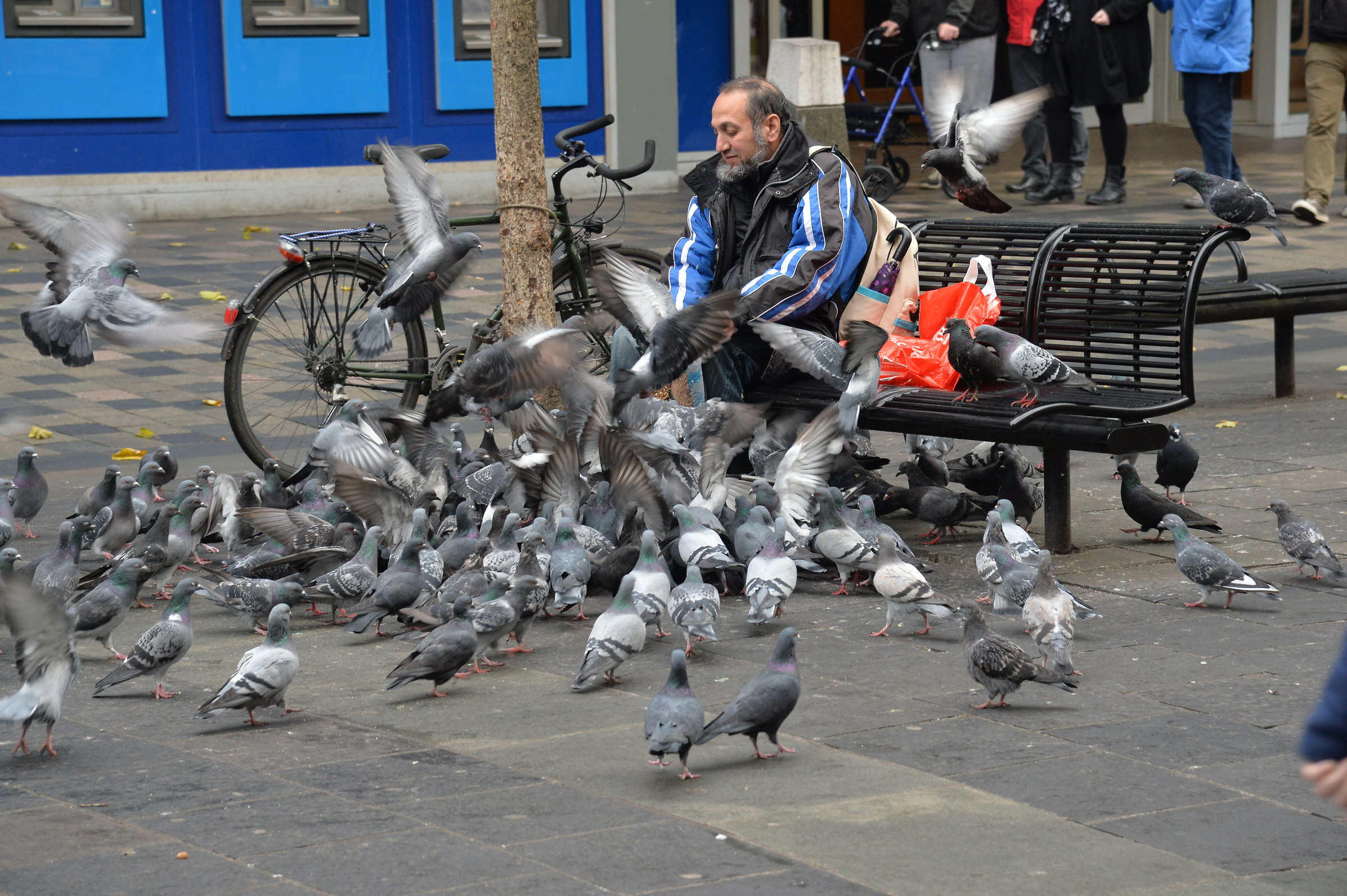 l'uomo dei piccioni (glasgow)