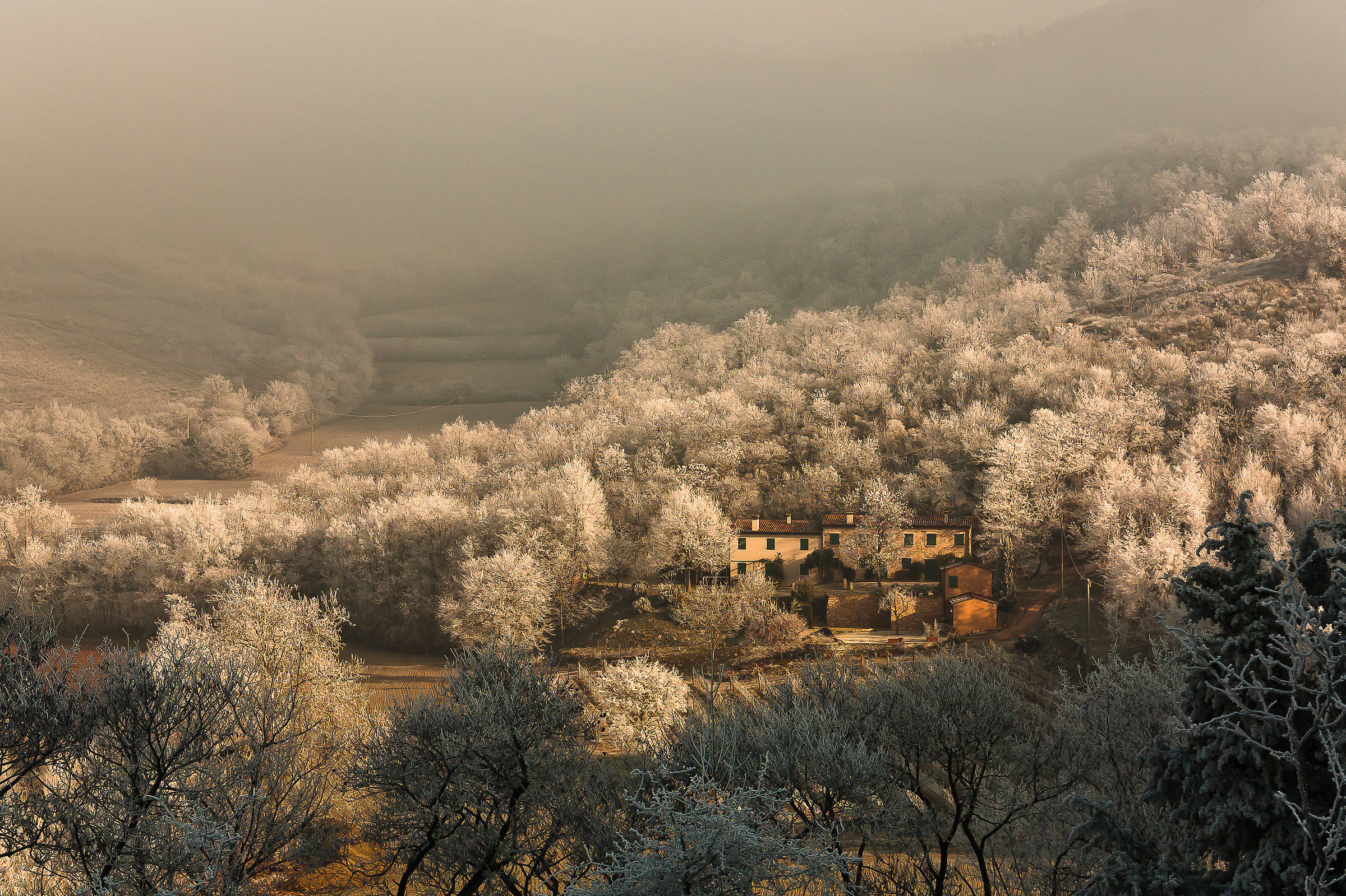 Untitled Photo