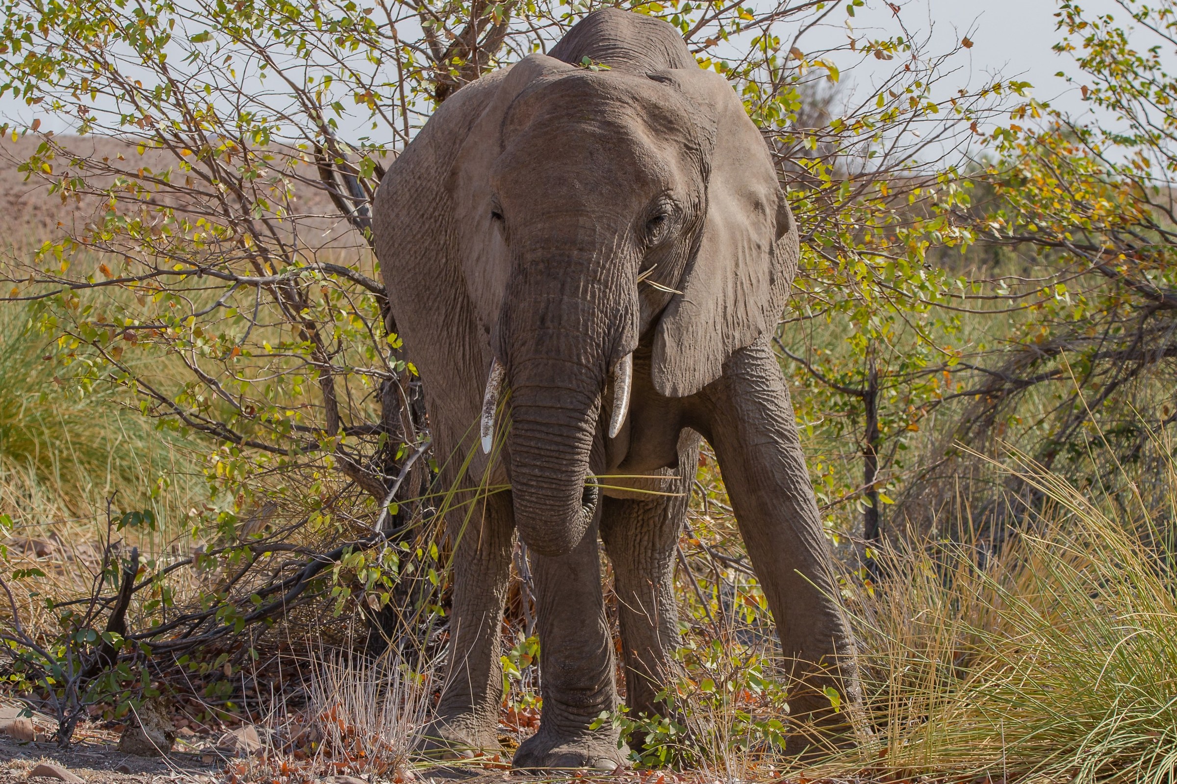 Lunch in the bush