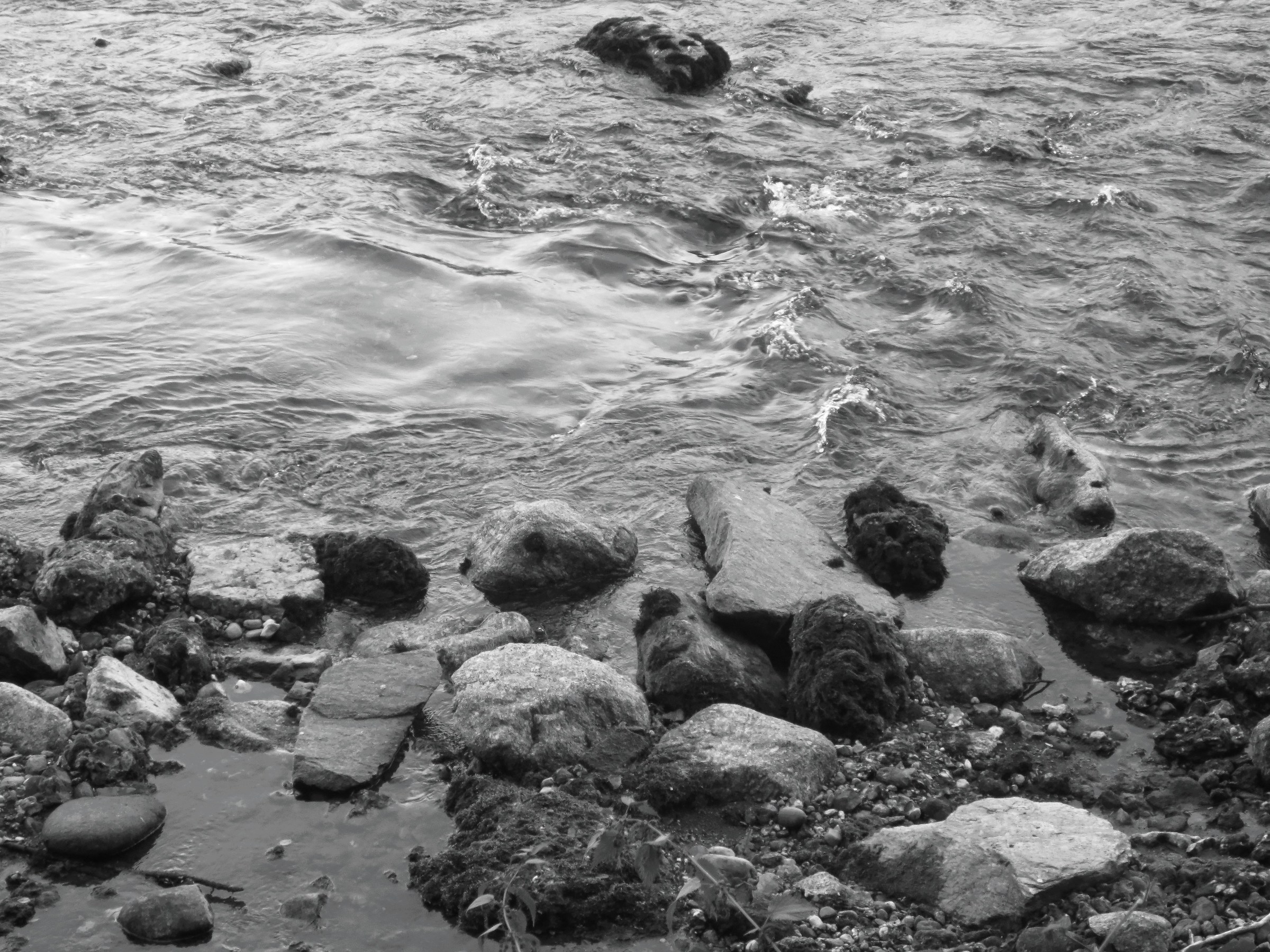 pietre sulla sponda del fiume