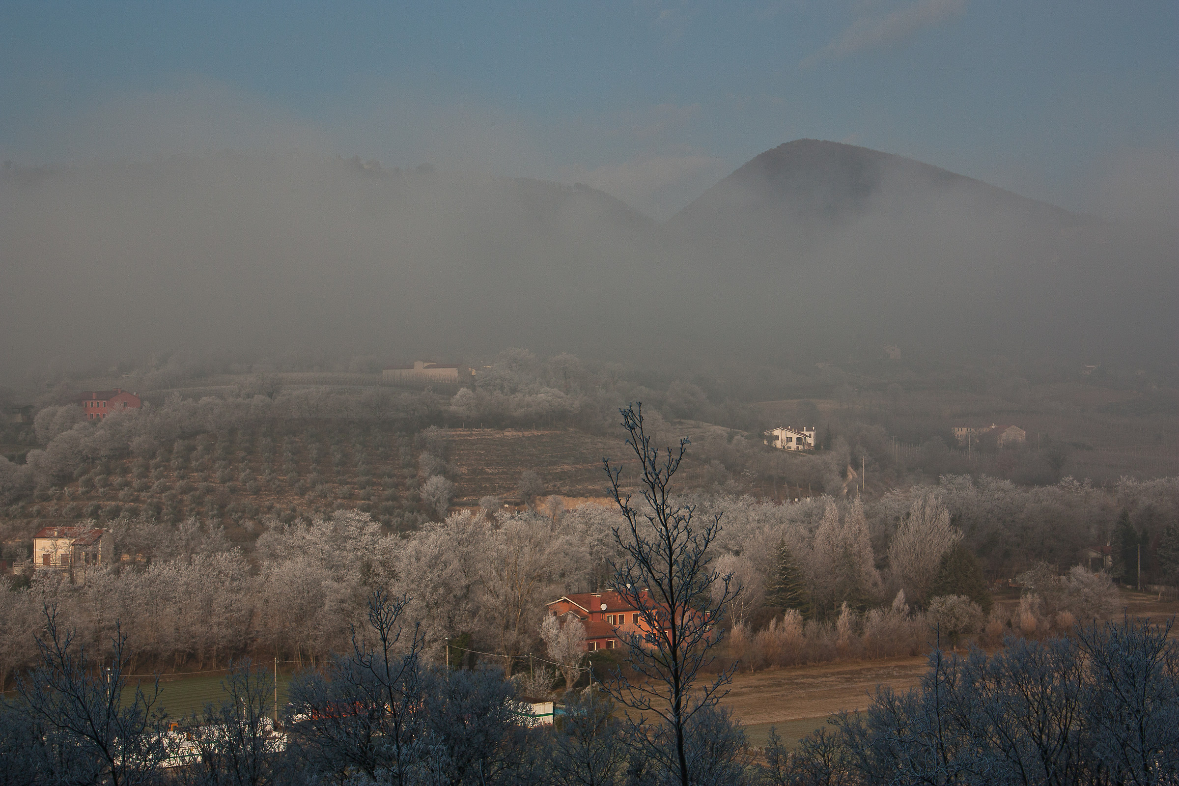 Untitled Photo