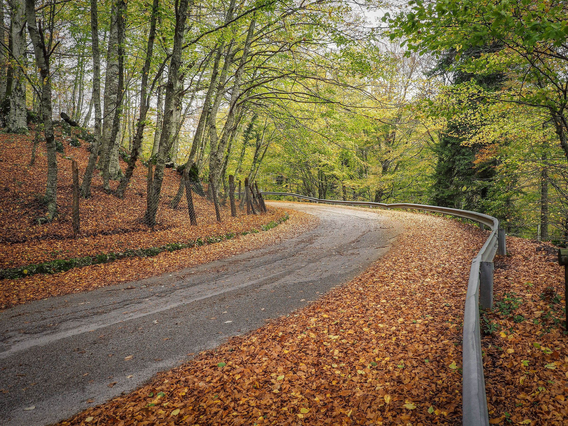 Parco Regionale del Taburno-Camposauro